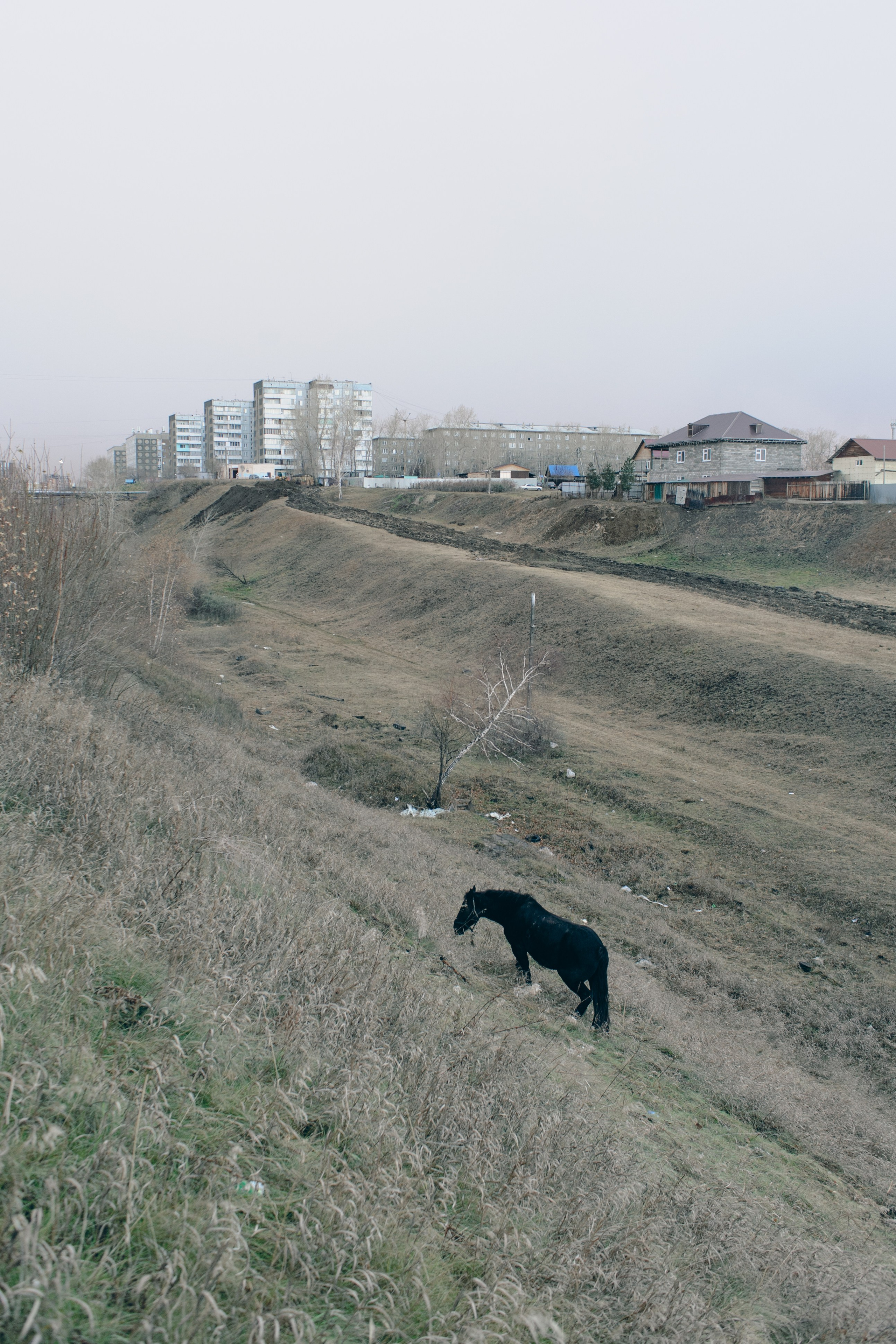 Гуляю то тут то там. Photographer Alik Melkonyan