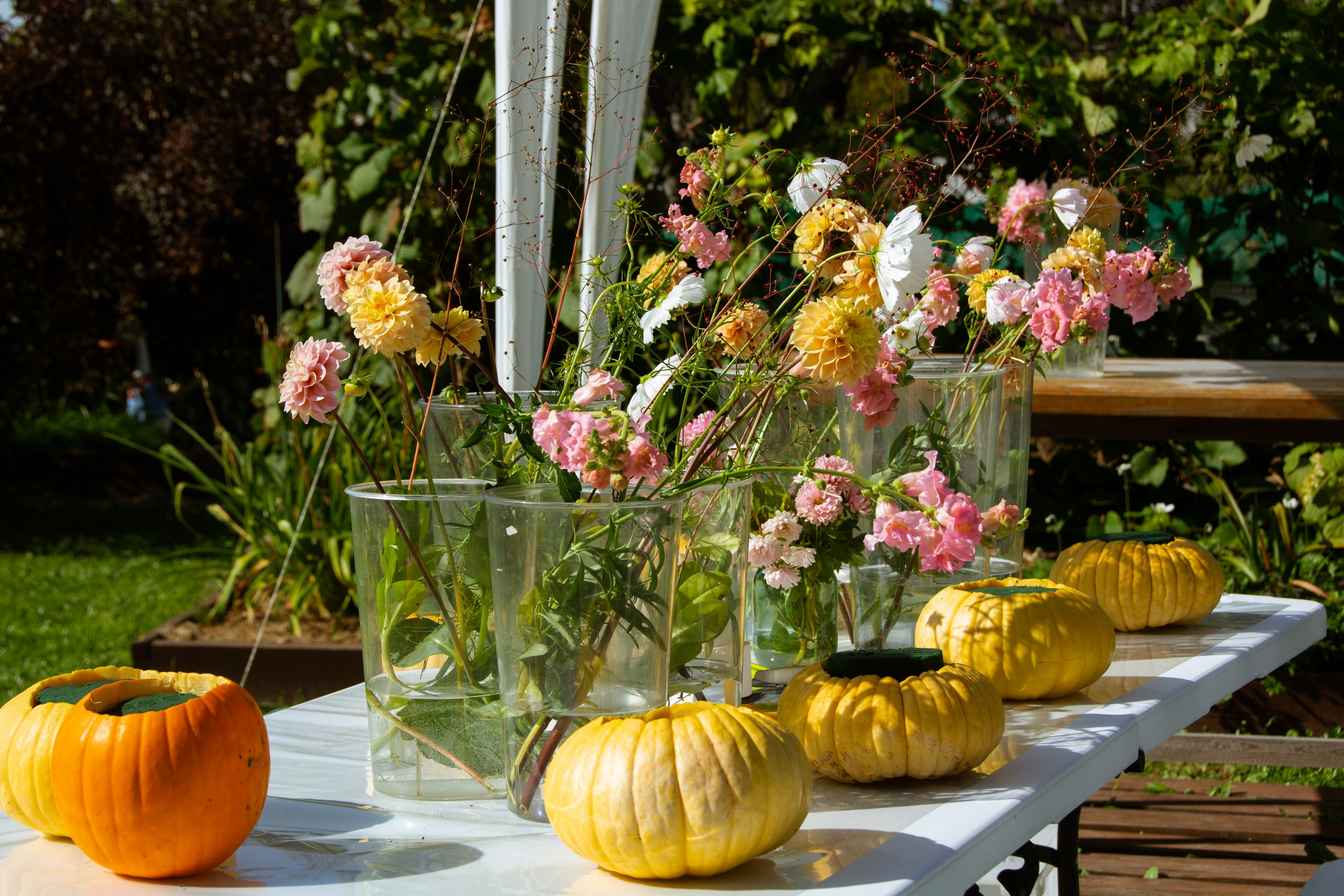 Цветник. закрытие сезона. Семейный и репортажный фотограф в Хабаровске Татьяна Болычева