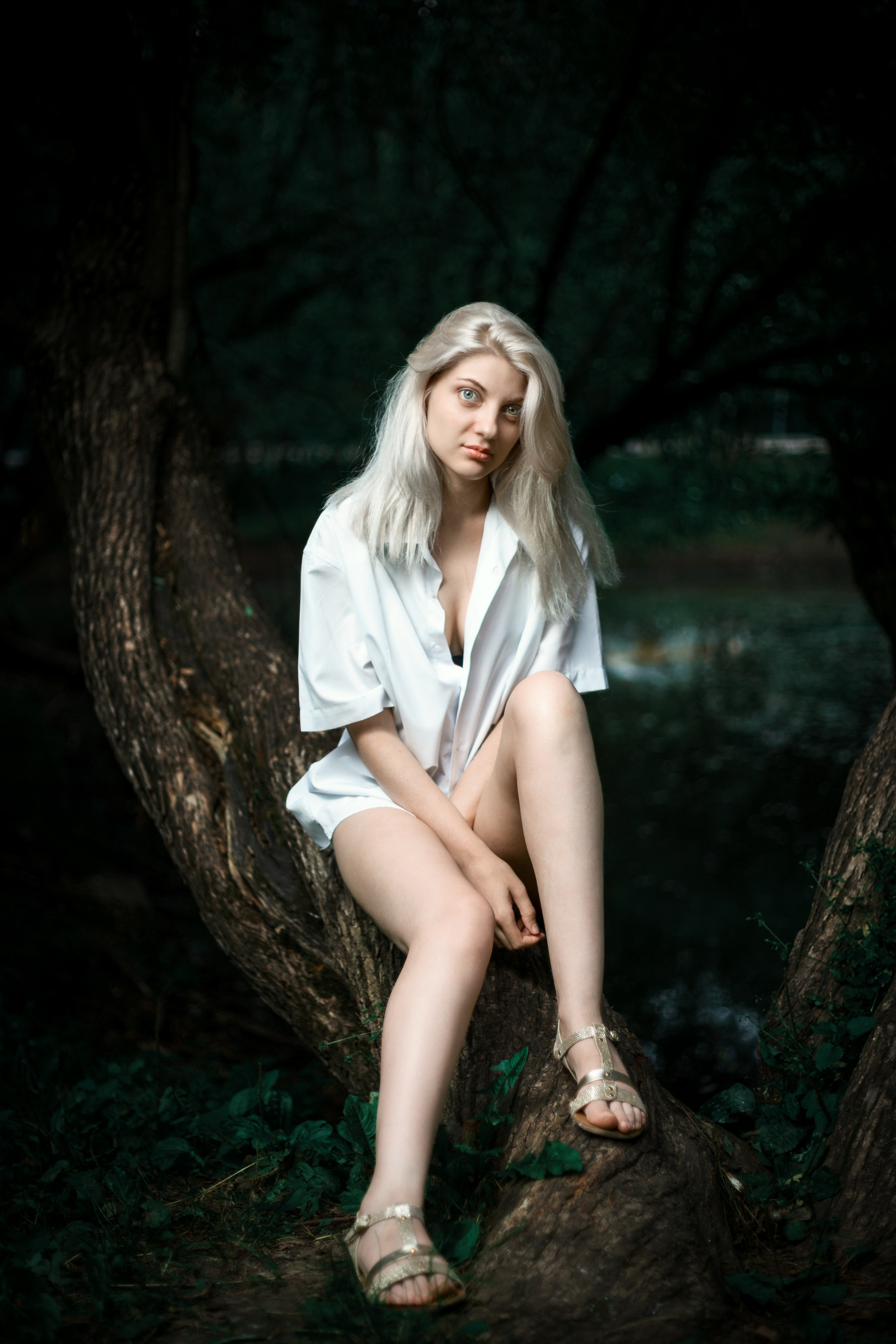 Откройте для себя магию "Белоснежной гармонии" в этом фотоальбоме, где девушка с белоснежными волосами предстаёт в утончённых образах на природе. Наслаждайтесь кадрами, где она лежит на дереве у озера и на траве, с элегантной рубашкой, добавляющей загадочности и эстетики. Девушка, молодая девушка, Блондинка, Фотосеесия, Подросток, Крашенные волосы, Озеро, Рубашка, Позировка, Потрет, Полуголая, Полуголая девушка, Девушка в белье, Дерево, Озеро, Красотка, Ноги, Трава, Ню,