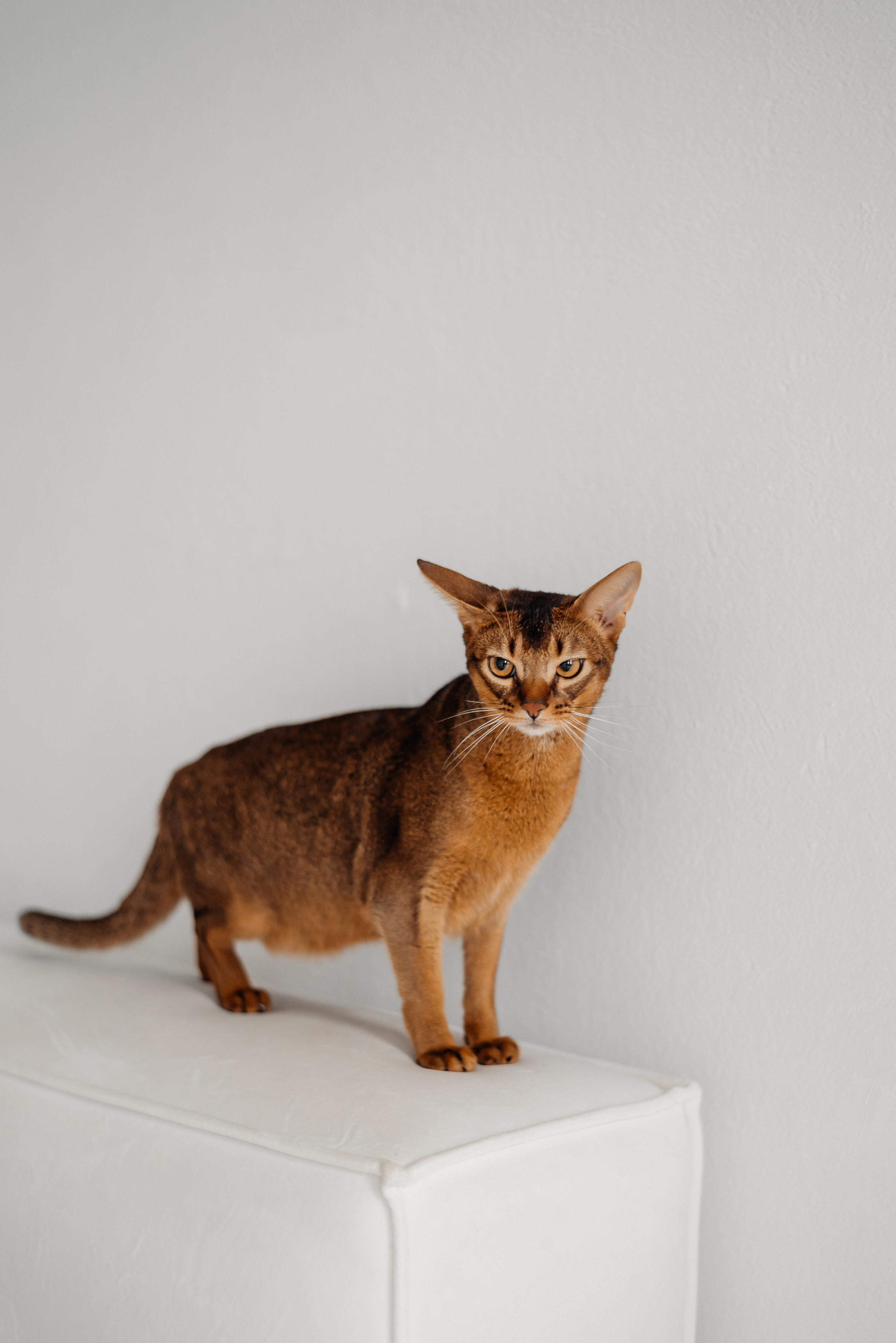 Инна. Свадебный и портретный фотограф в Минске Татьяна Лобода