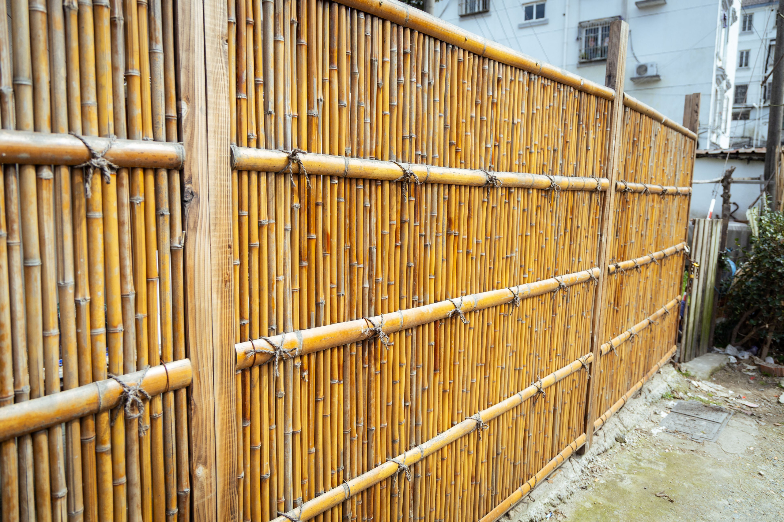 Шанхай (март 2026). Фотограф Виноградов Константин