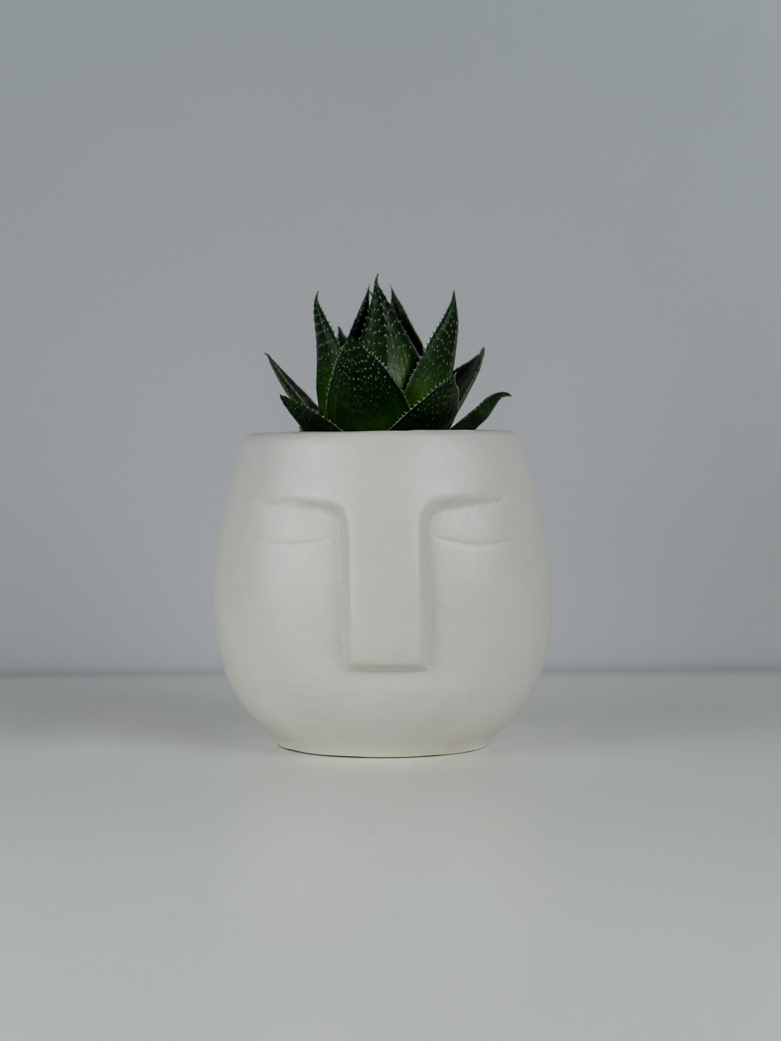 Ваза. Концептуальный фотограф Шлыкова Ольга