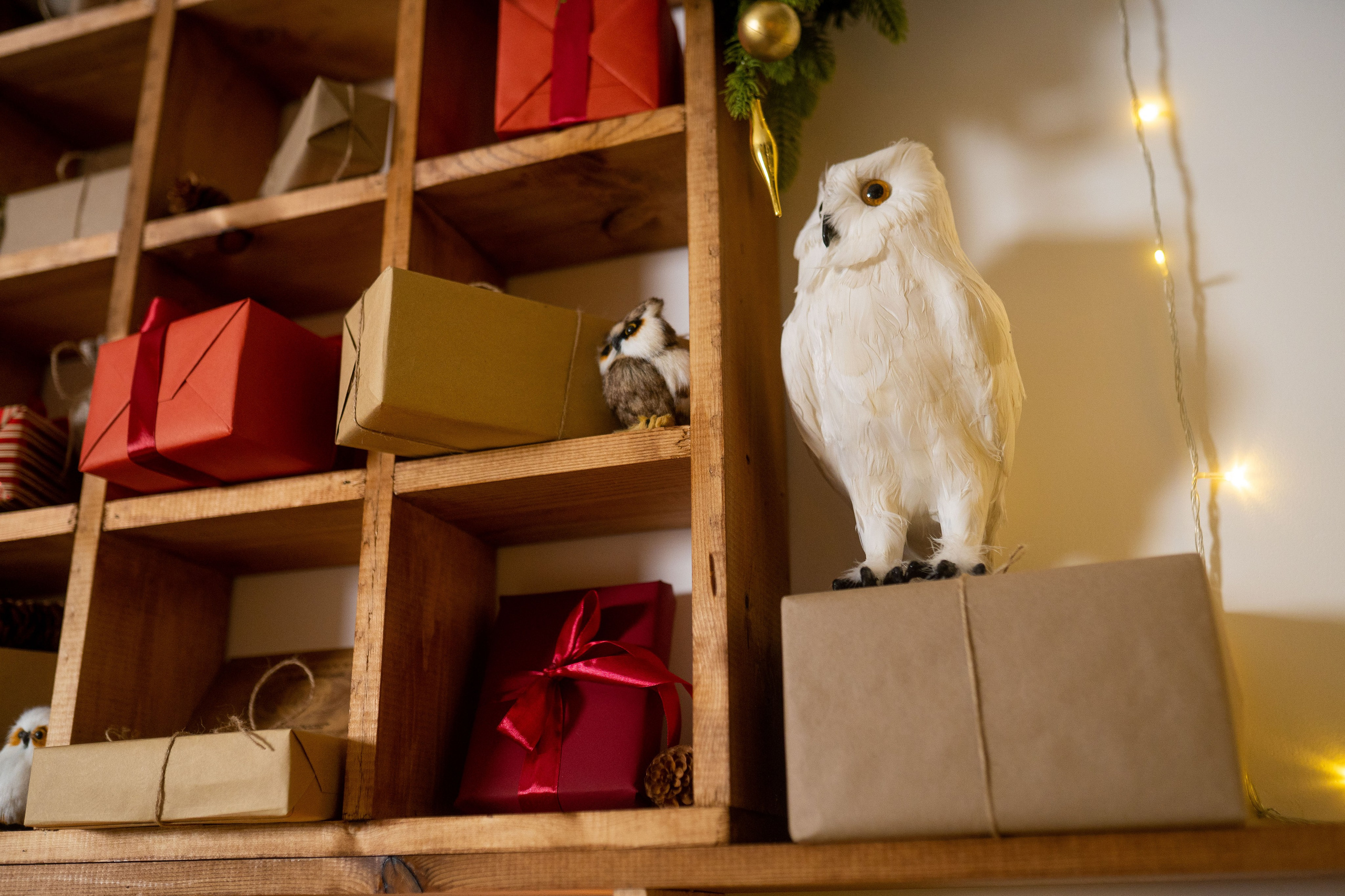 Зал Детский. Фотограф г. Хабаровск. Семейные и индивидуальные съёмки