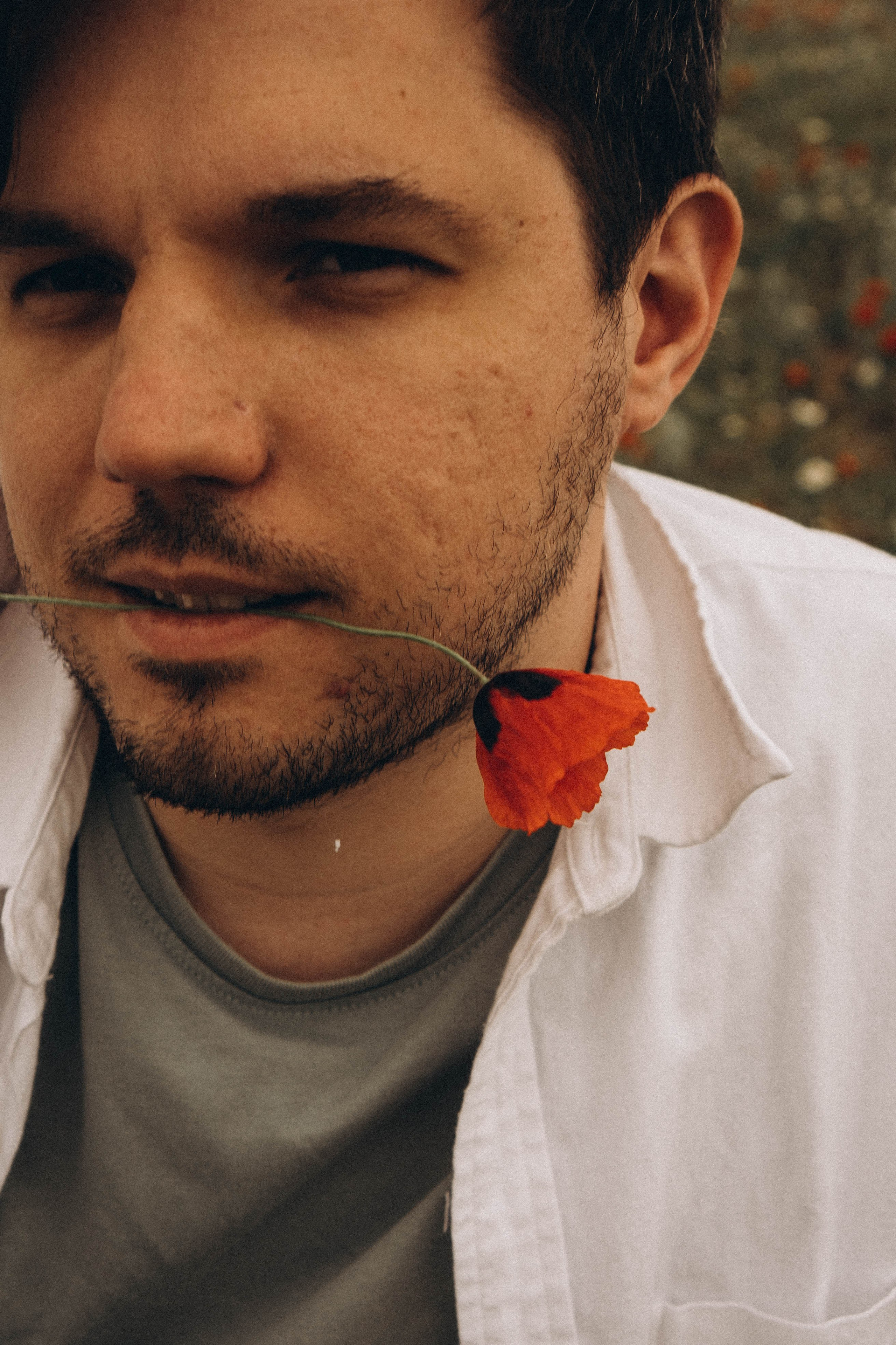 Маки. Профессиональный фотограф, Санкт-Петербург — Виктория Богомолова