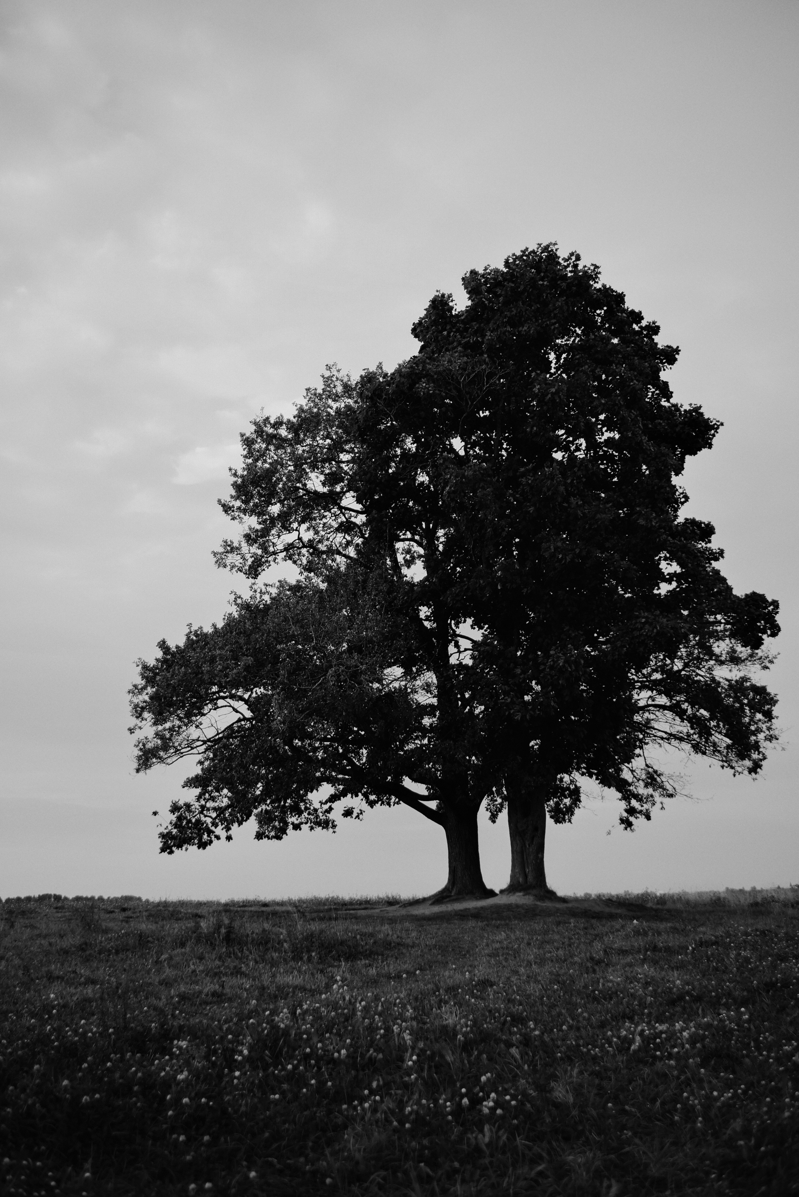 Альбом 11. Фотограф Катерина Мартьянова Санкт-Петербург
