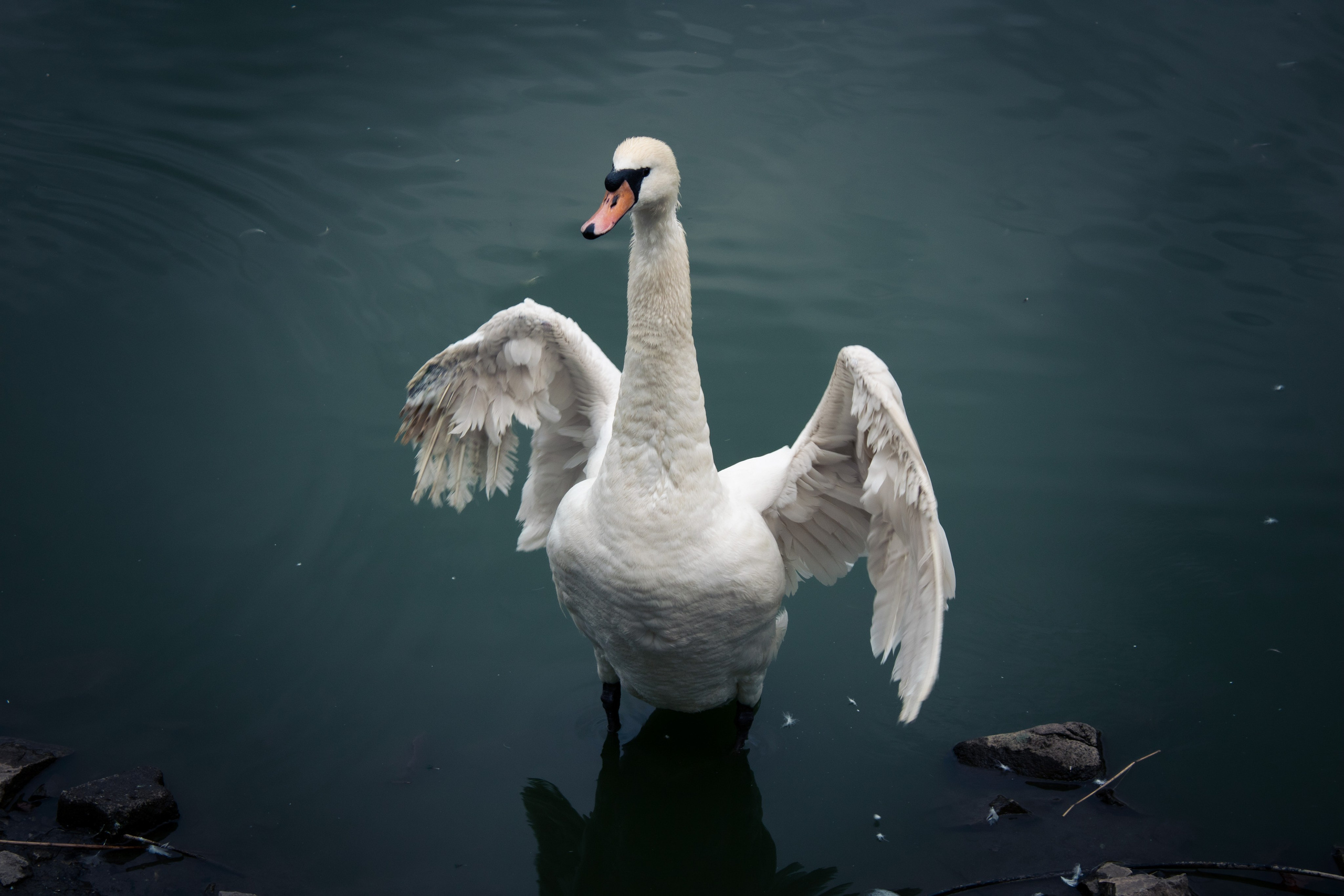 Вдохновение. Бутакова Елена фотограф в Екатеринбурге