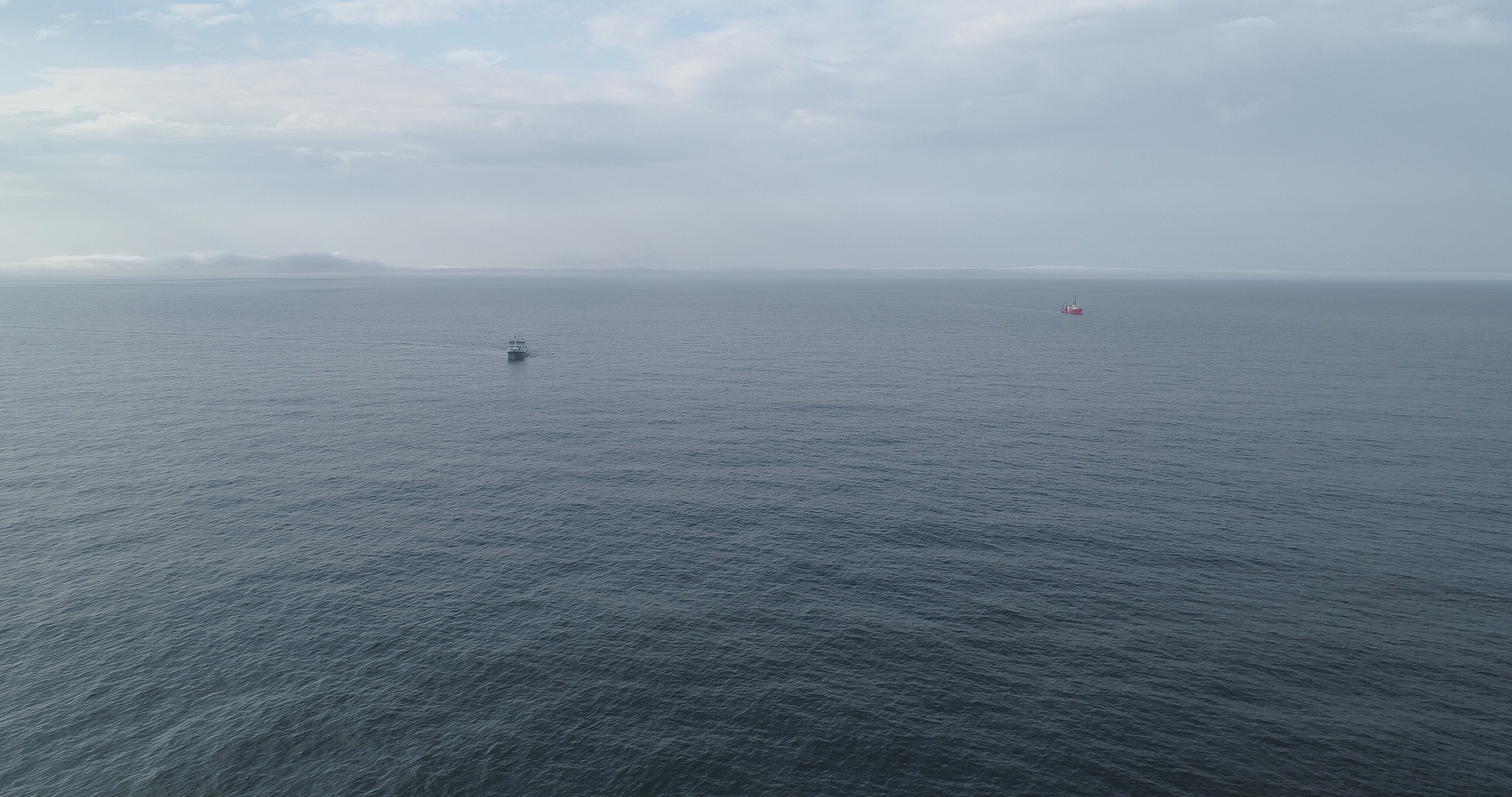 Амдерма — наука (2020 г.). Фотоальбом показывающий увлекательный мир авиации и мир медведей Андрея Иванова