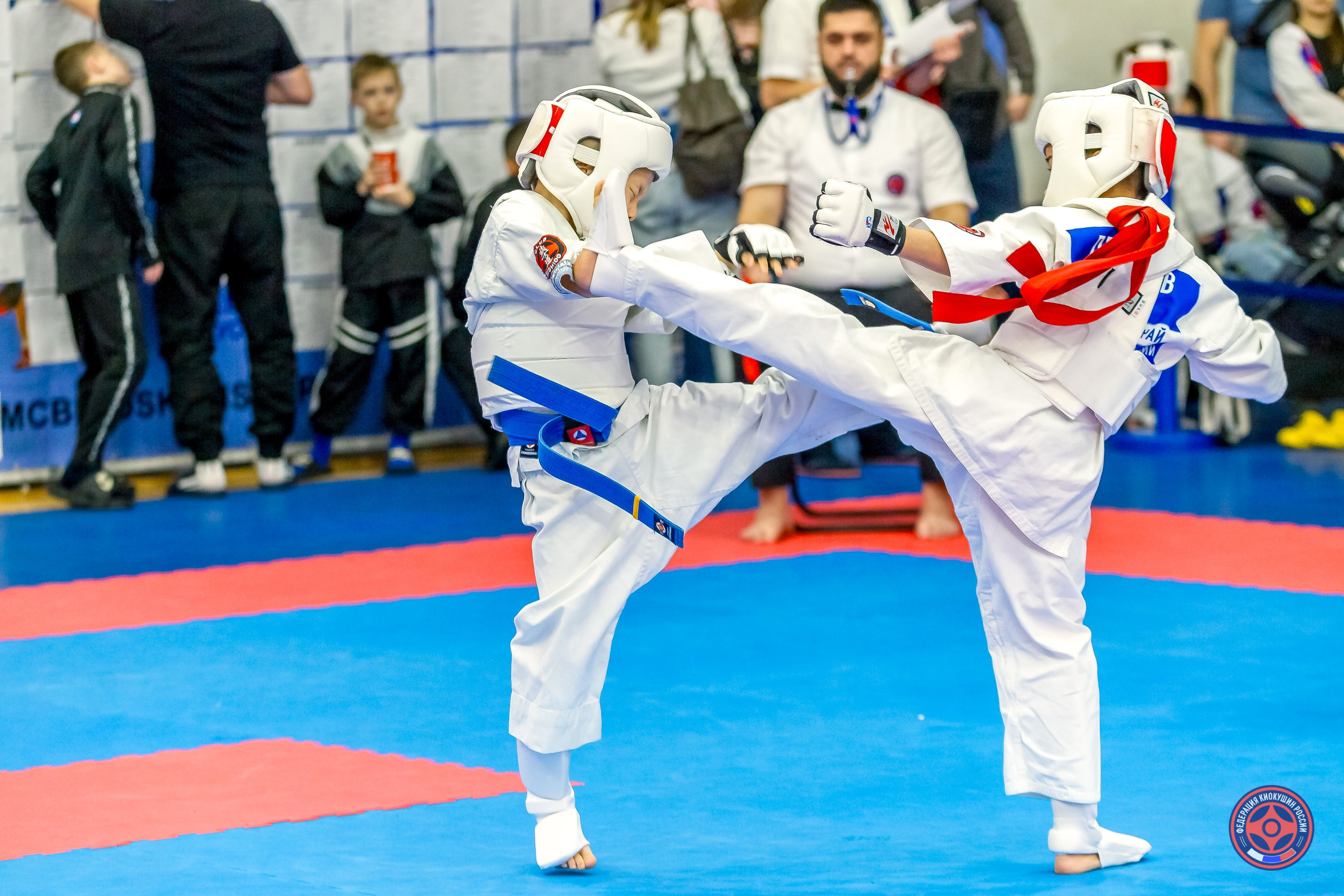 Международный турнир по киокушин «Открытый кубок Seiken». Репортажная съемка в Москве и области. Анималистика