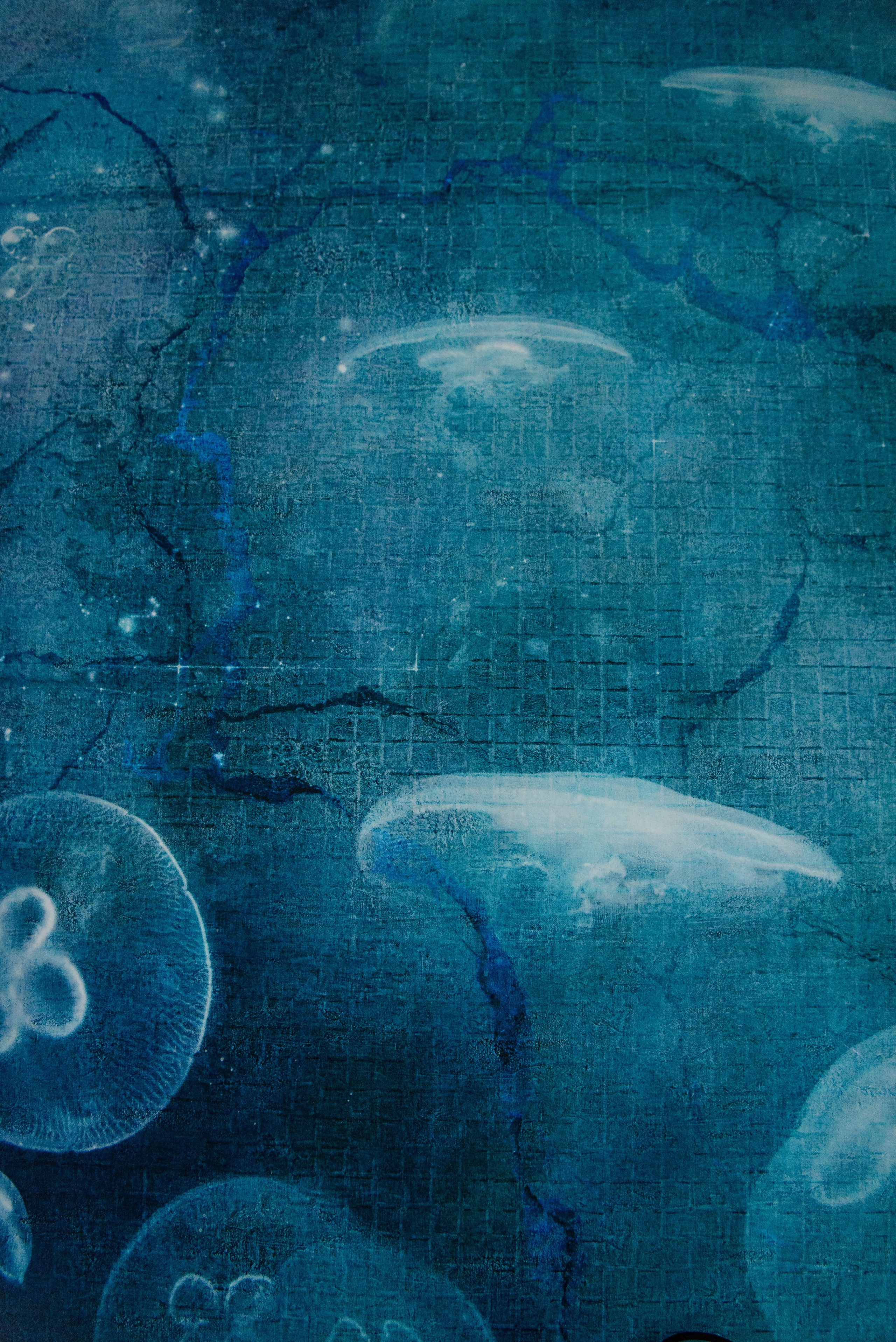 Апартаменты Agent Flat. Свадебный фотограф в Санкт-Петербурге София Шубик