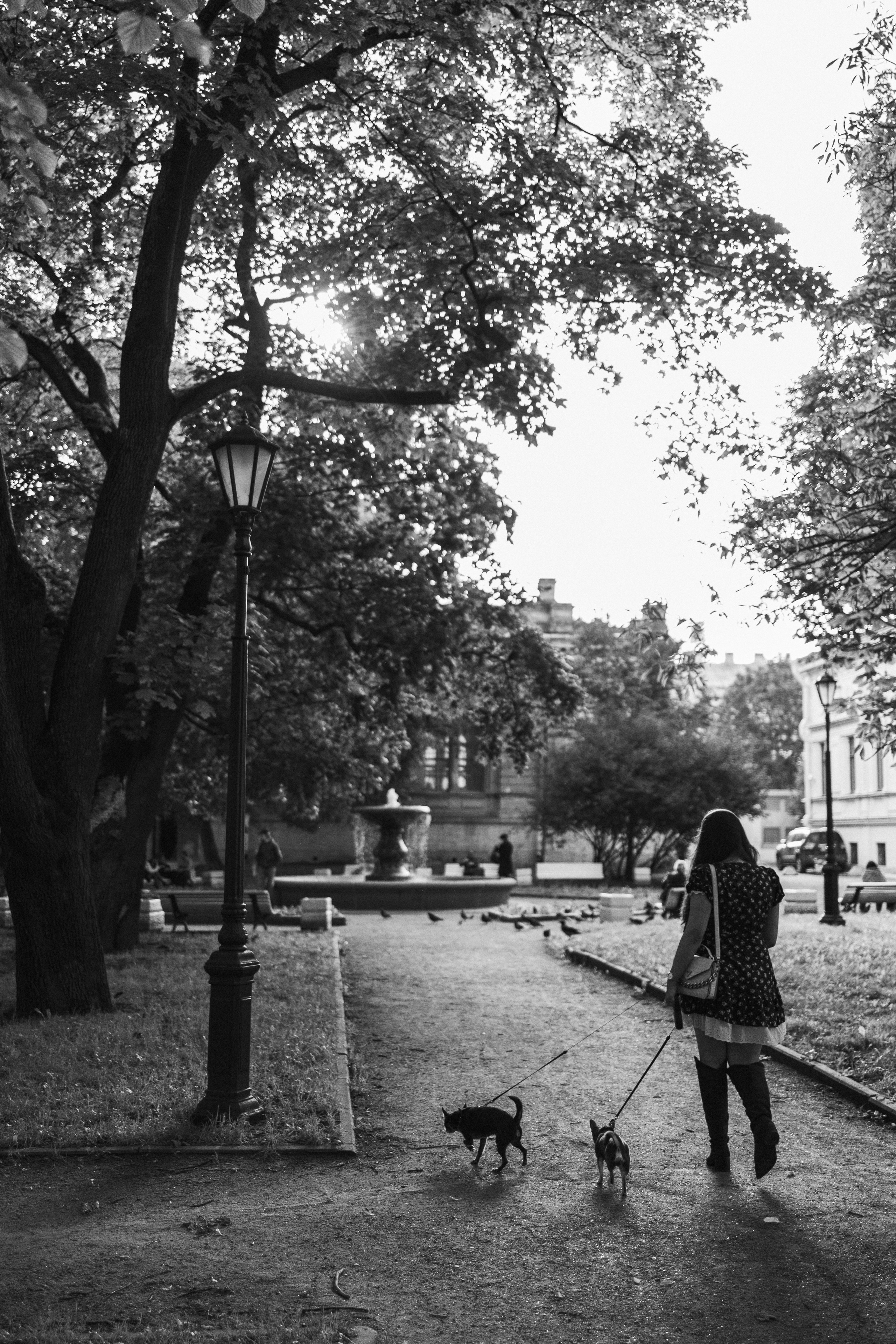 Даша и ее мальчики. Фотограф — Анималист | Санкт-Петербург