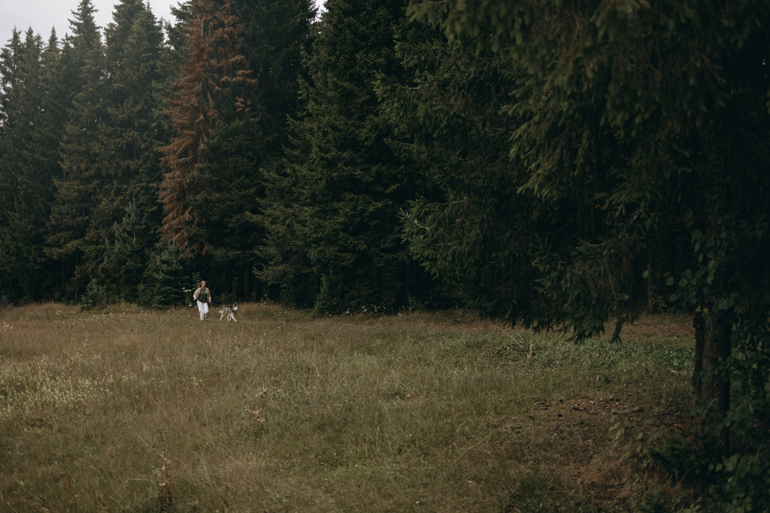 Дом у реки. Фотограф — Анималист | Санкт-Петербург