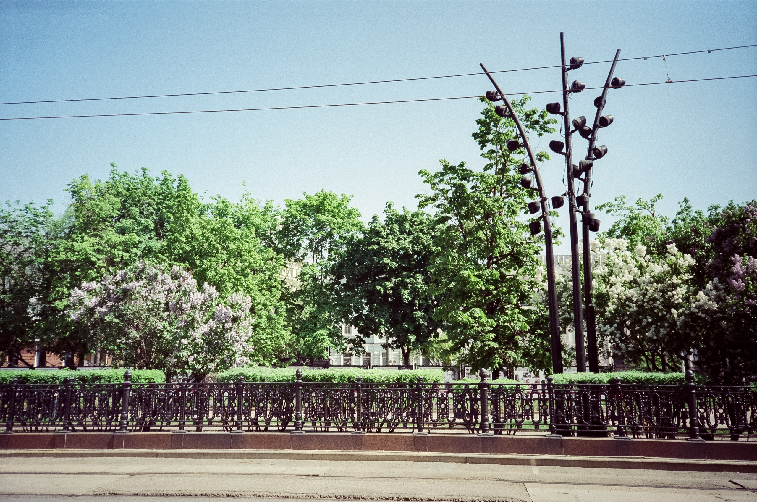 SFL 200T (Kodak Vision3 200T) примеры фотографий