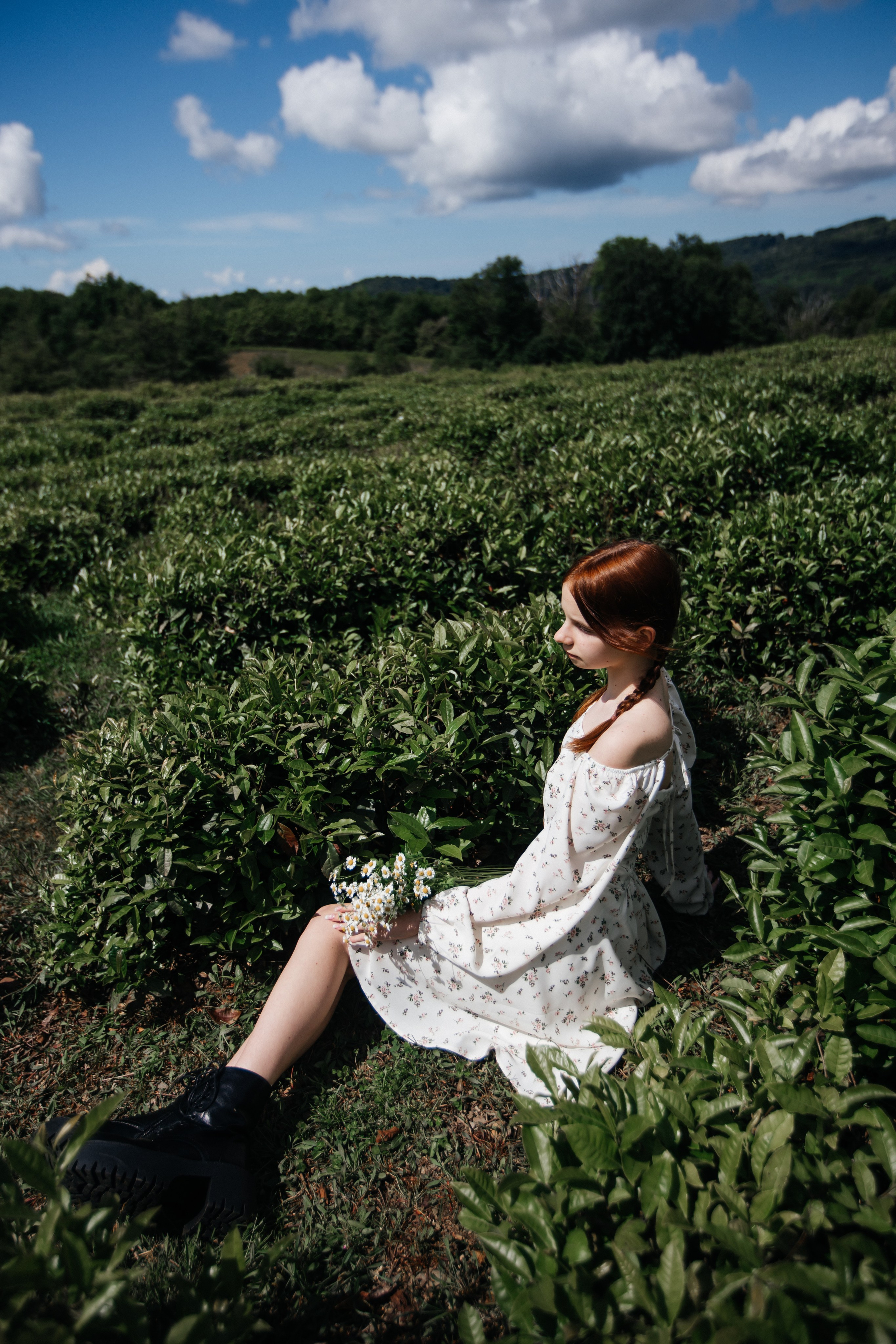 Tea plantation. Efimova Model Agency