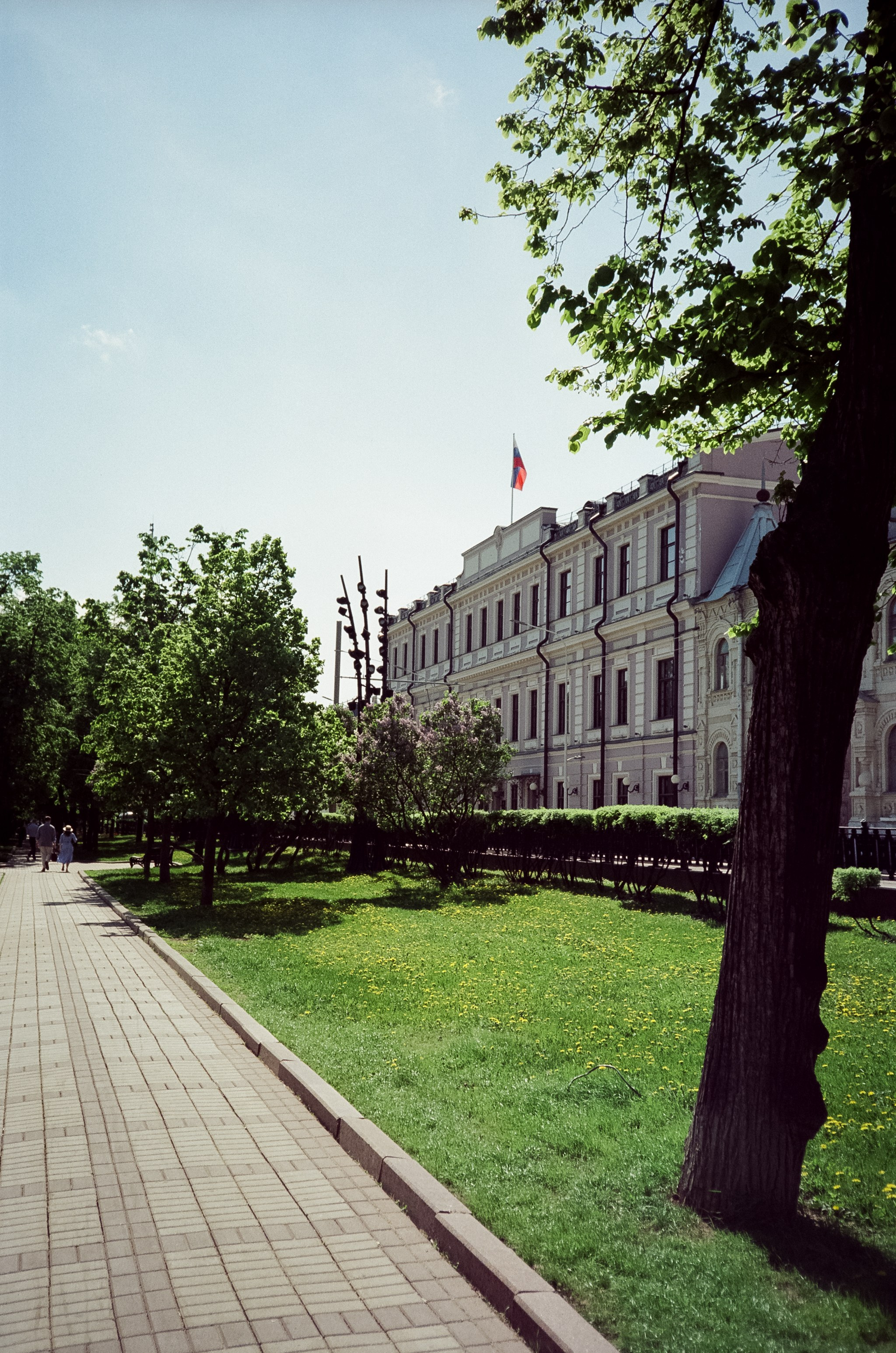SFL 200T (Kodak Vision3 200T) примеры фотографий