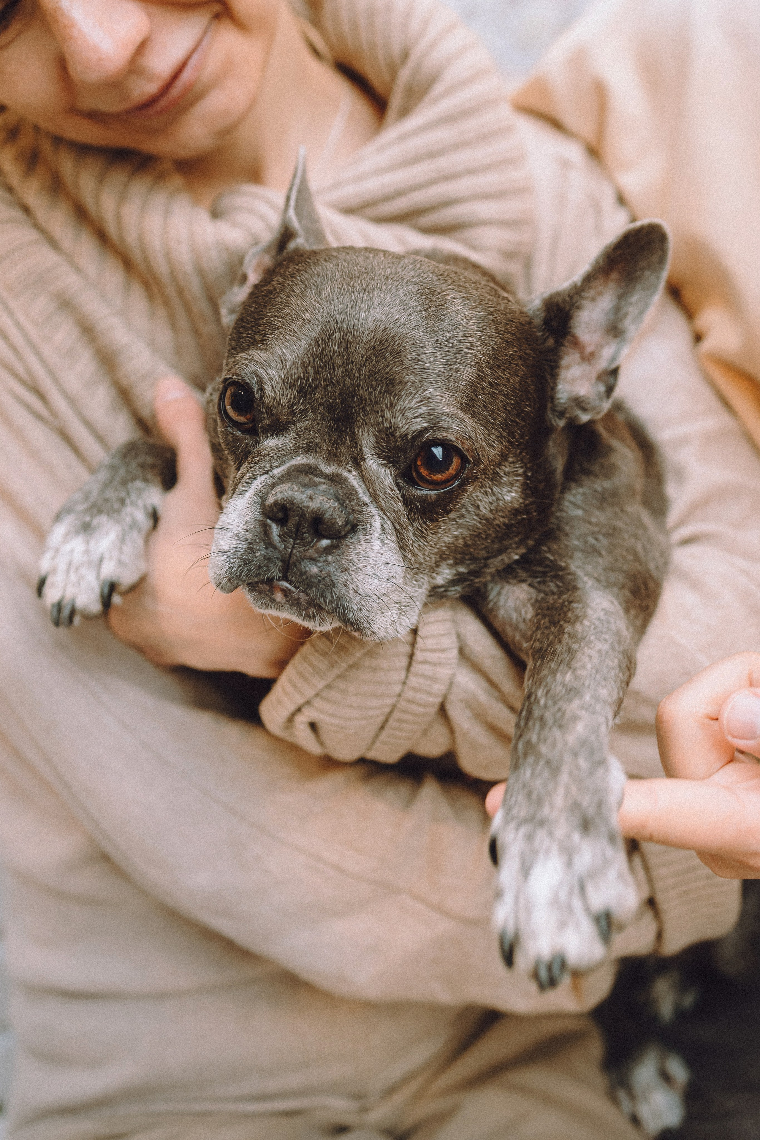 Юля, Вова и Моня