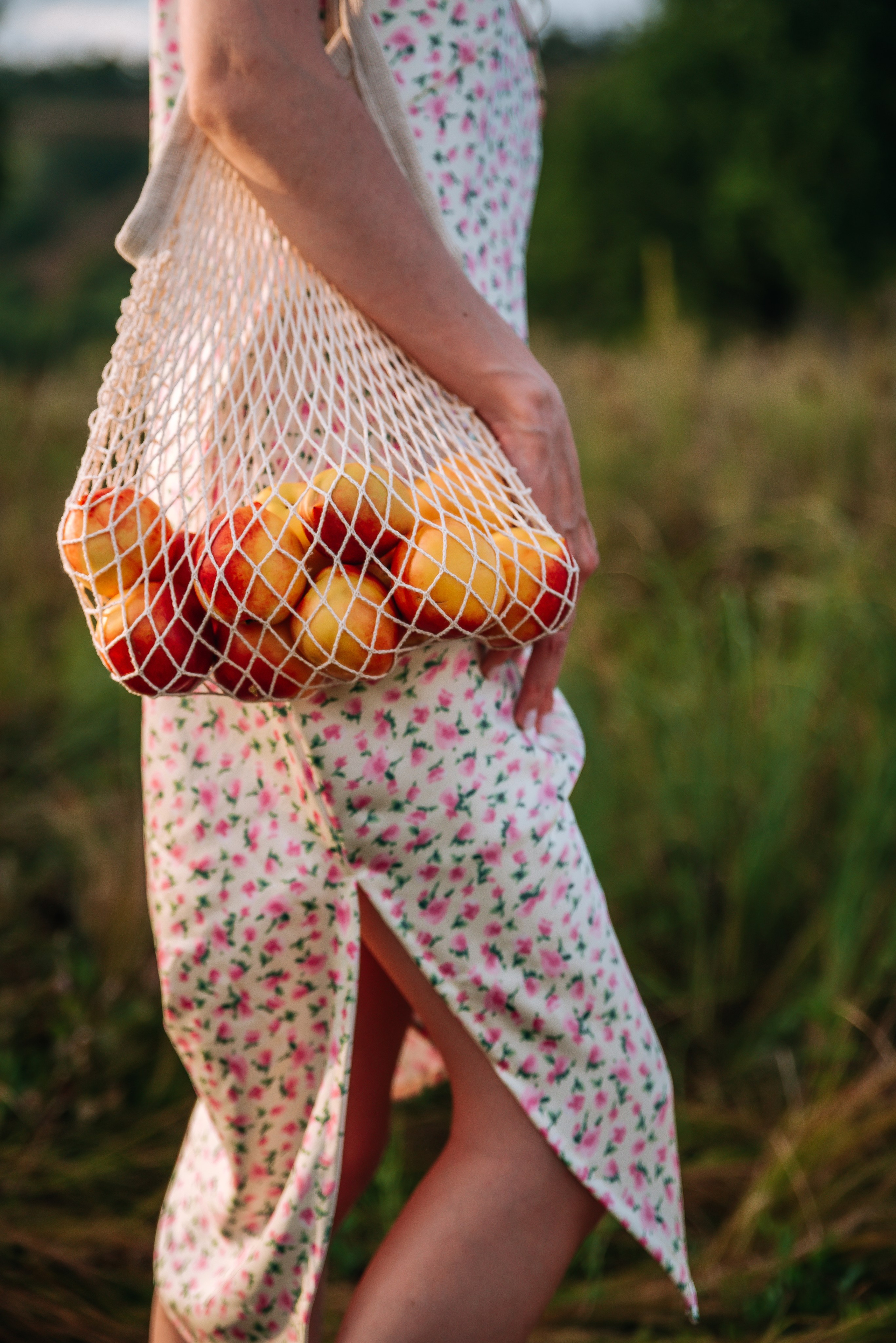 Летний Пикник. Главная