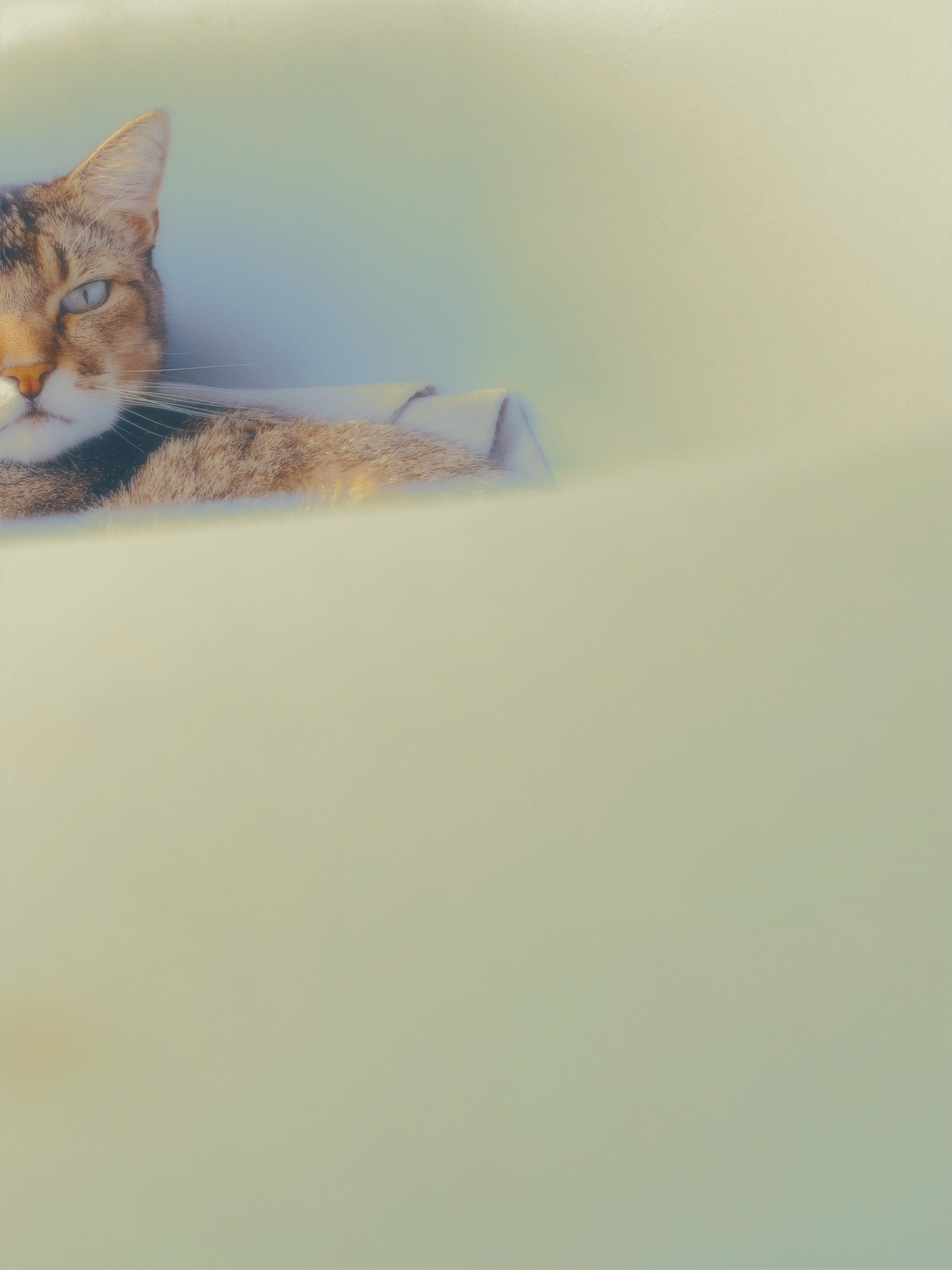 Фотографии. Visual artist