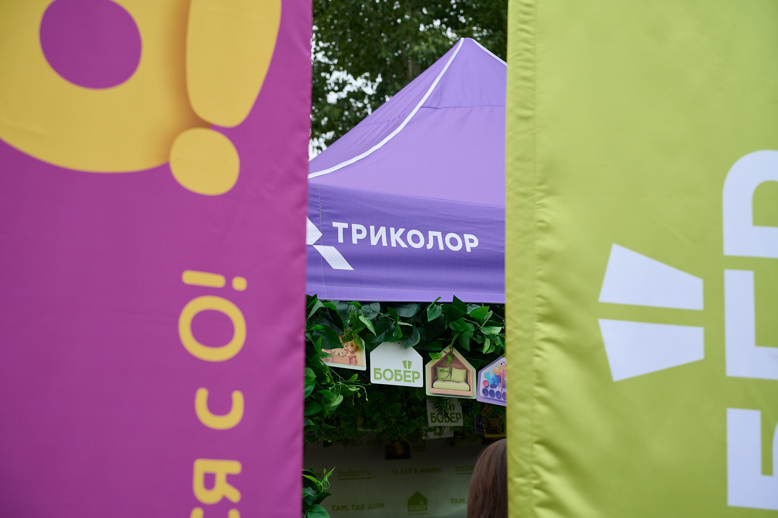 Триколор. Фотограф Опыт Качество Скорость Горный Алтай Барнаул