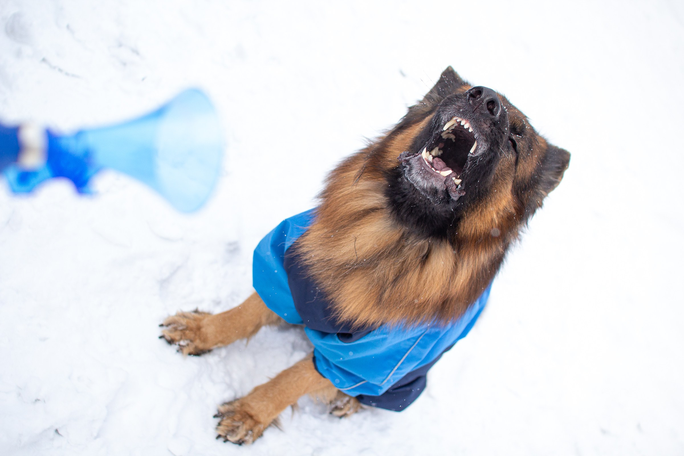 Синий. Фотограф в Хабаровске Юлия Чванова