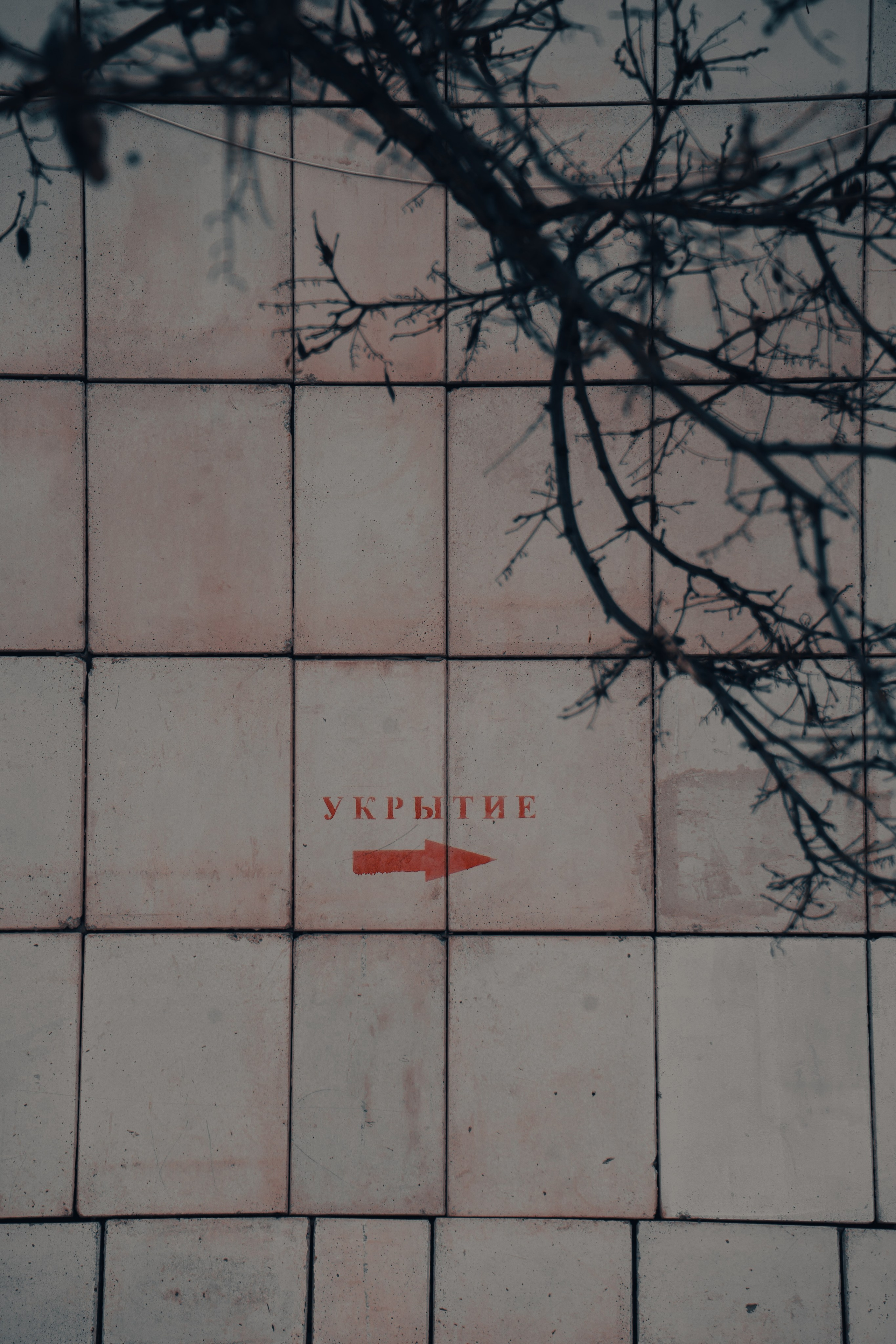 Стрит — фотография в Санкт-Петербурге. Портретный фотограф в Санкт-Петербурге Дори Милиева