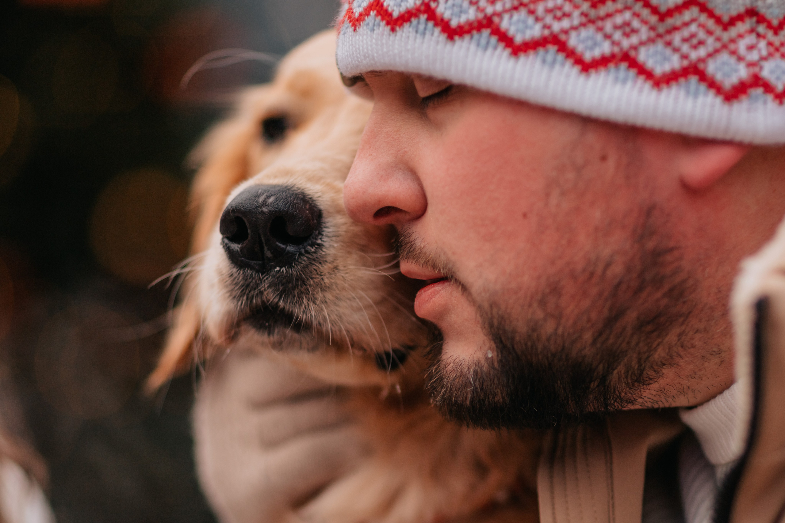 Бетти, Катя и Лёша. Новогодняя история. Семейный фотограф анималист Мария Крючкова