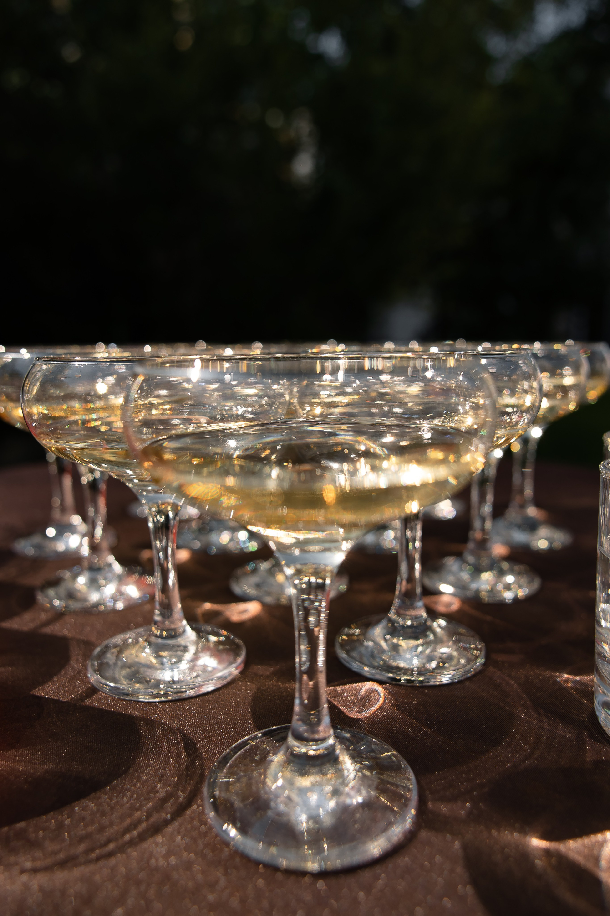 Антон и Вика. Свадебный и семейный фотограф в Новосибирске Наталья Зорина