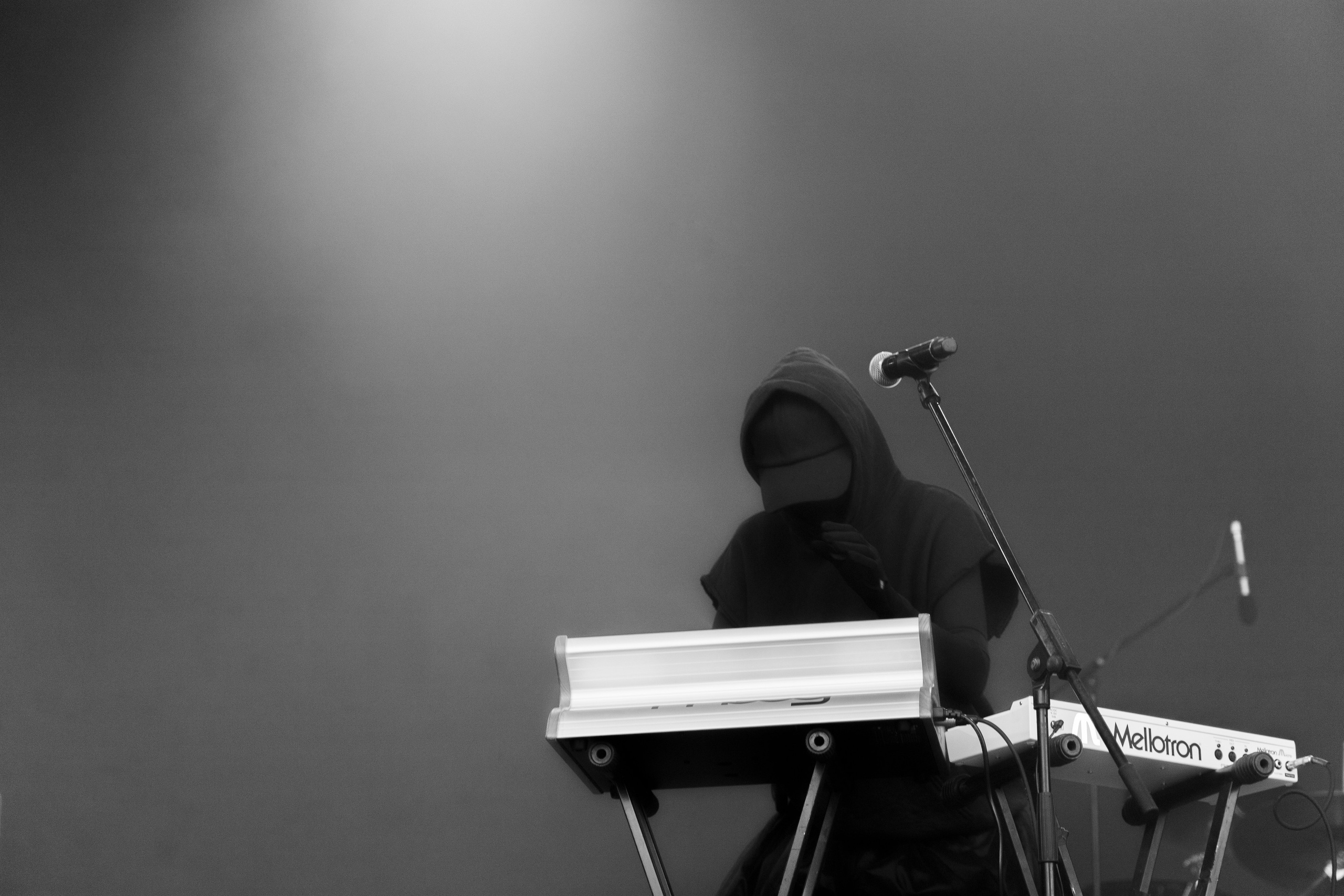 Хаски. Стереолето’24. RUSLAN ROZANOV