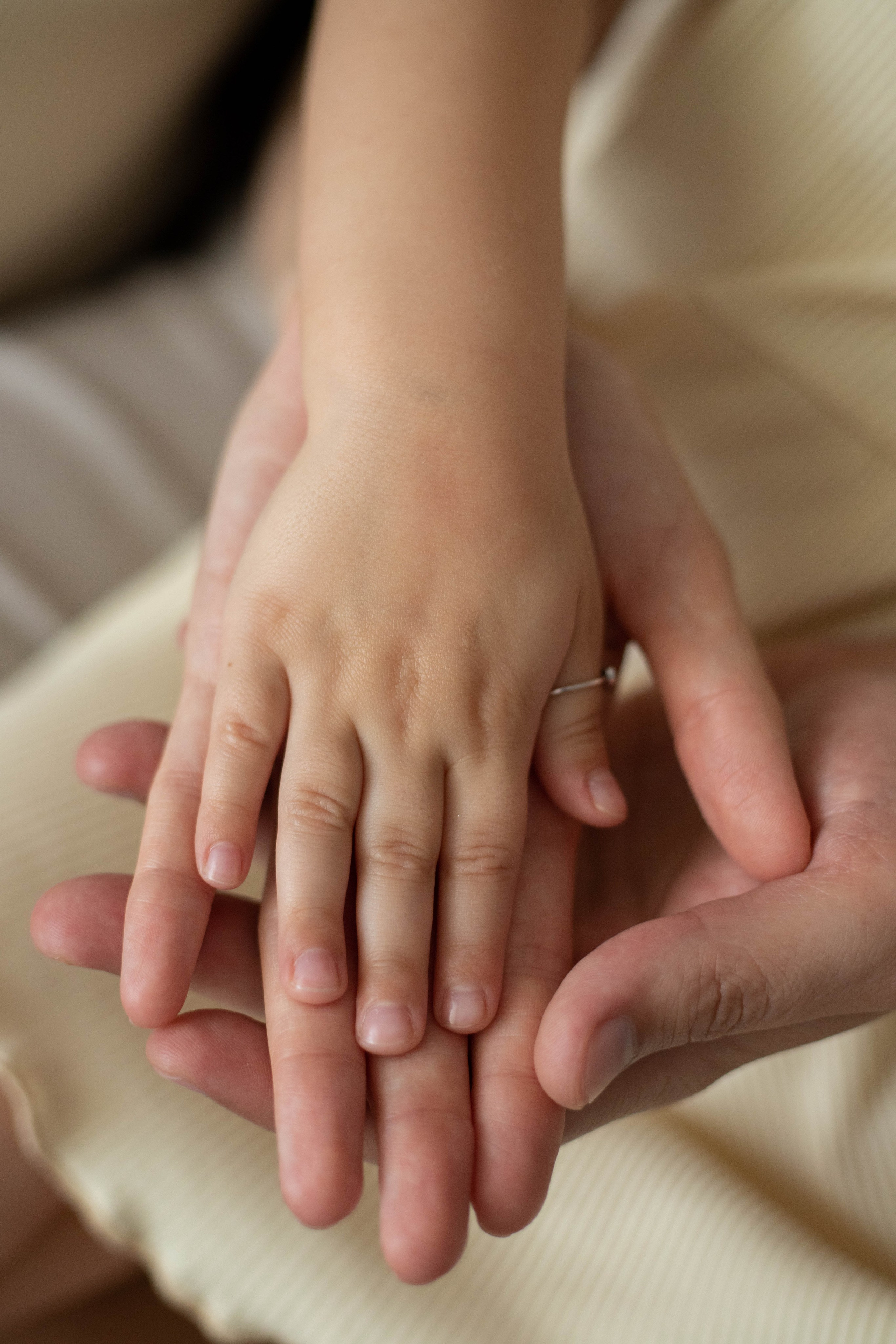 Домашние. Фотограф — Анастасия Хохлачева