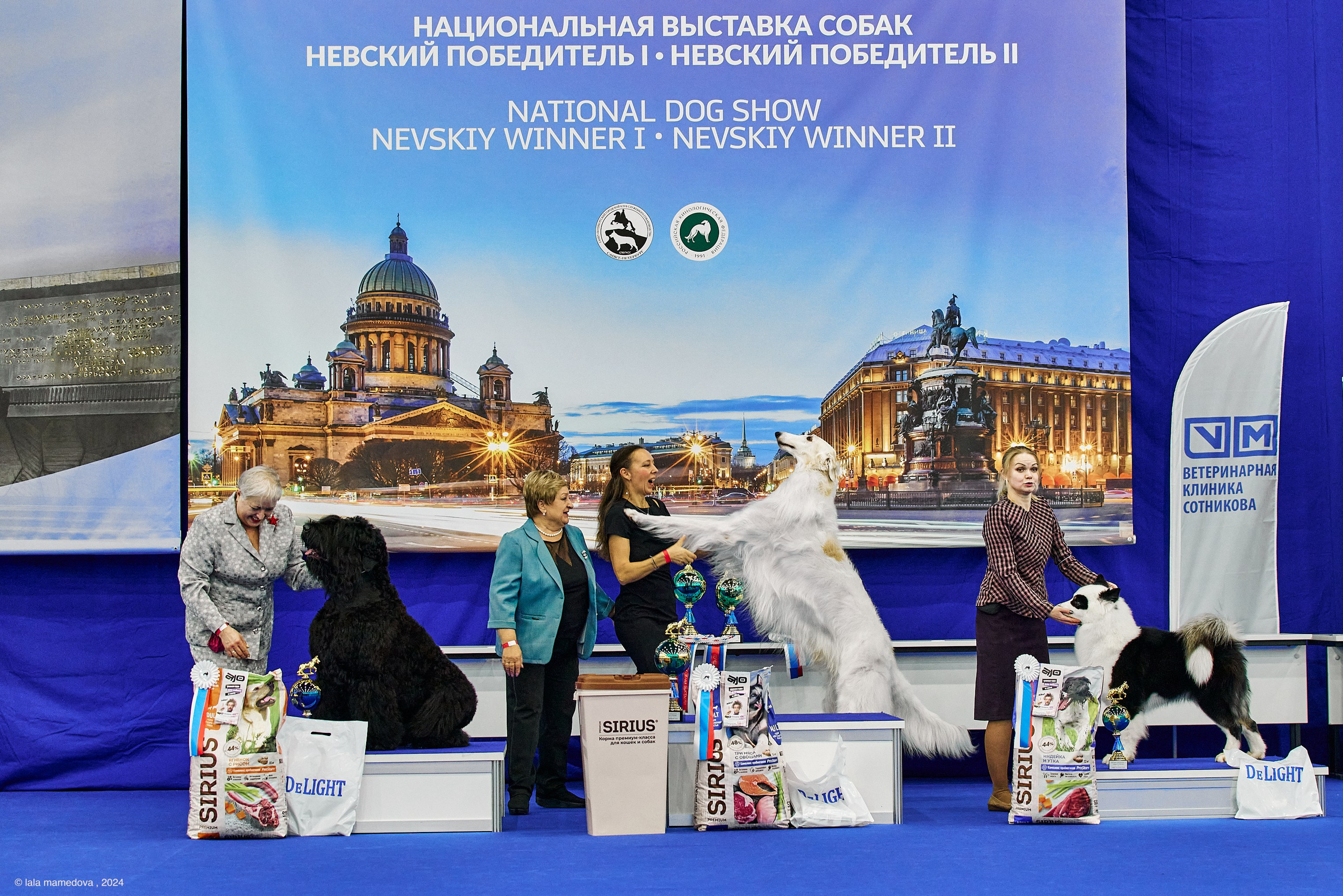 РЕЙТИНГОВАЯ ВЫСТАВКА СОБАК ВСЕХ ПОРОД С ОСОБЫМ СТАТУСОМ"НЕВСКИЙ ПОБЕДИТЕЛЬ-2024-2"