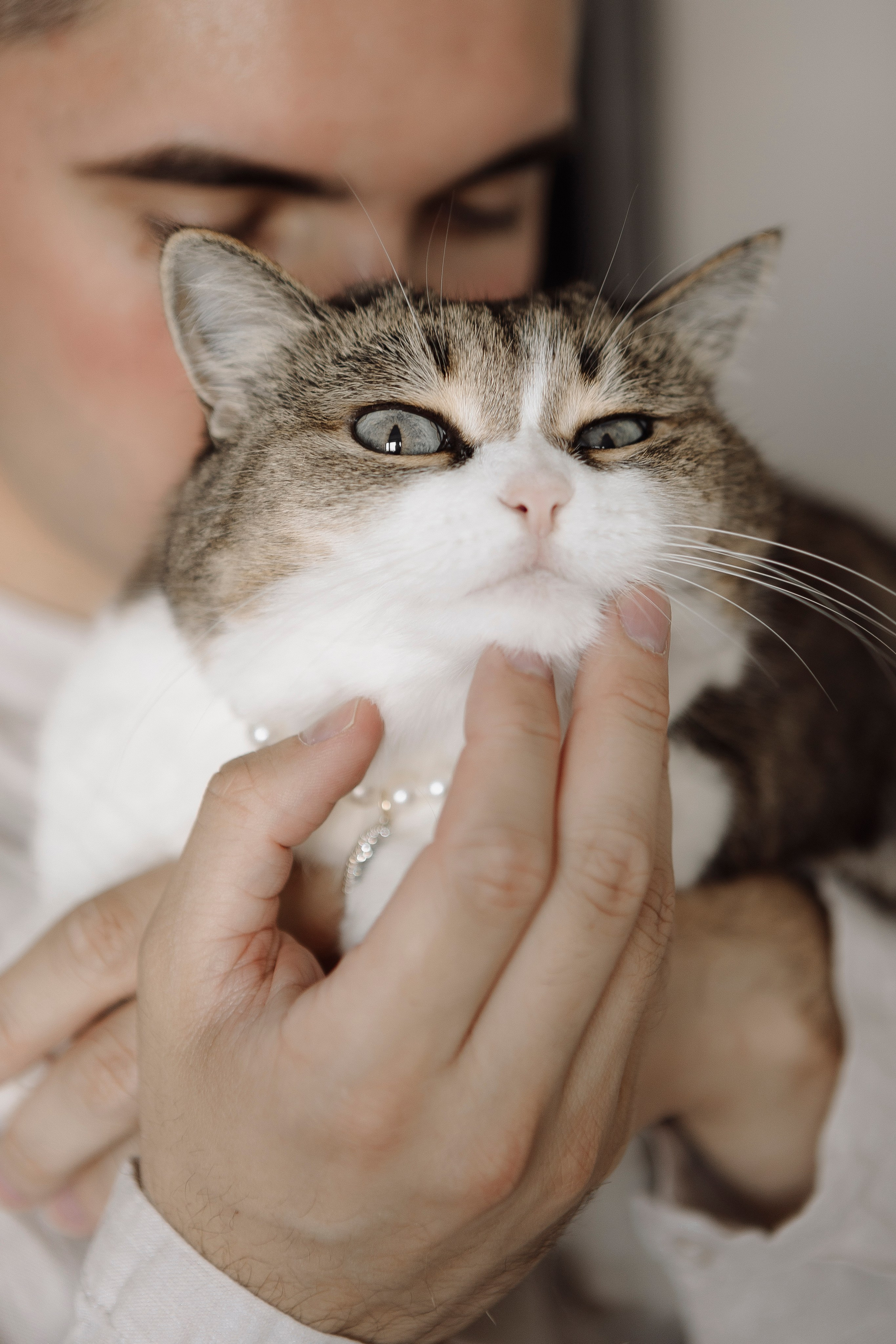 Свадьба Дмитрия и Екатерины. Фотограф Кольчугино/Владимир/Москва Елизавета Иода