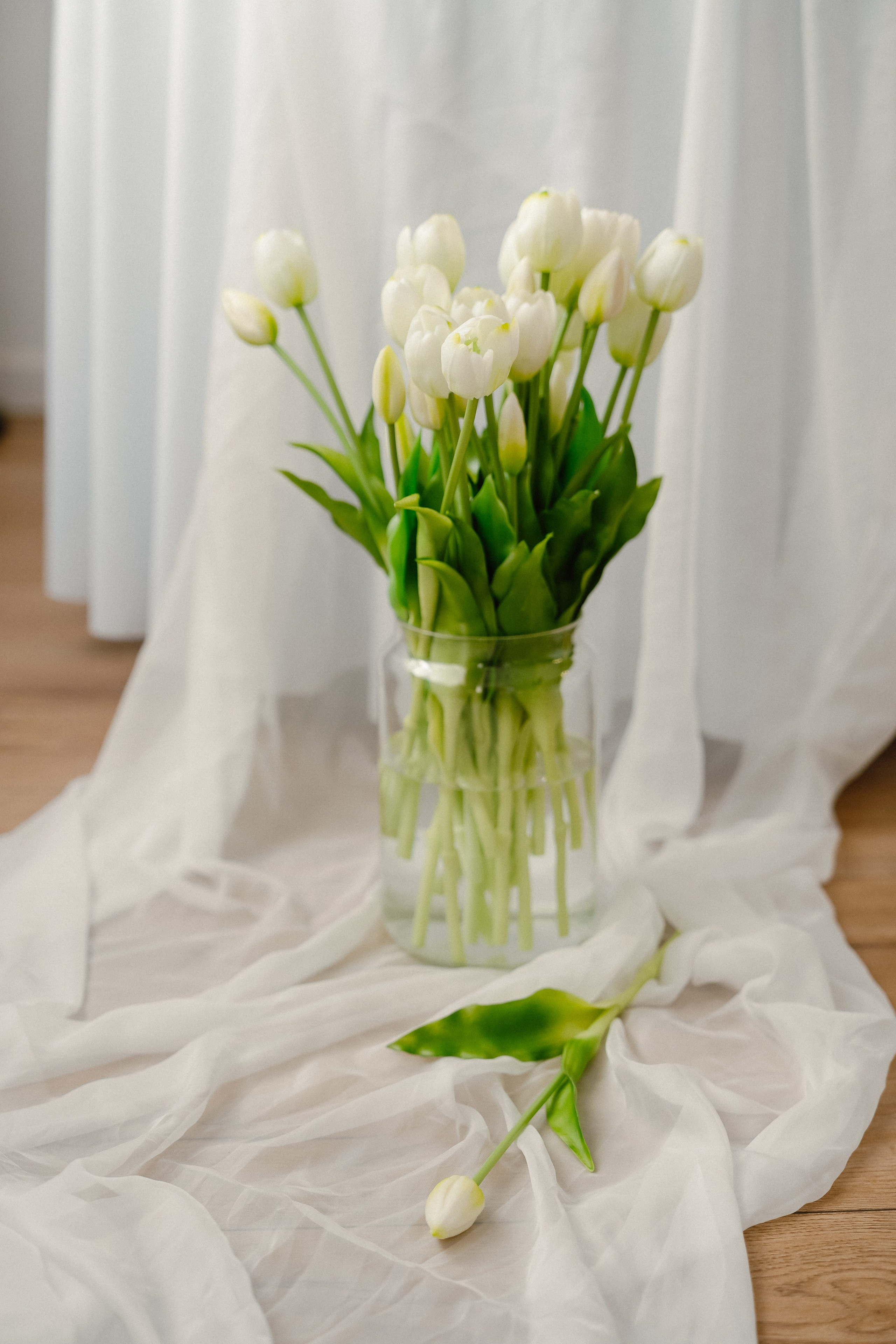 Весна. Семейный и свадебный фотограф в Бугуруслане Екатерина Ронжина