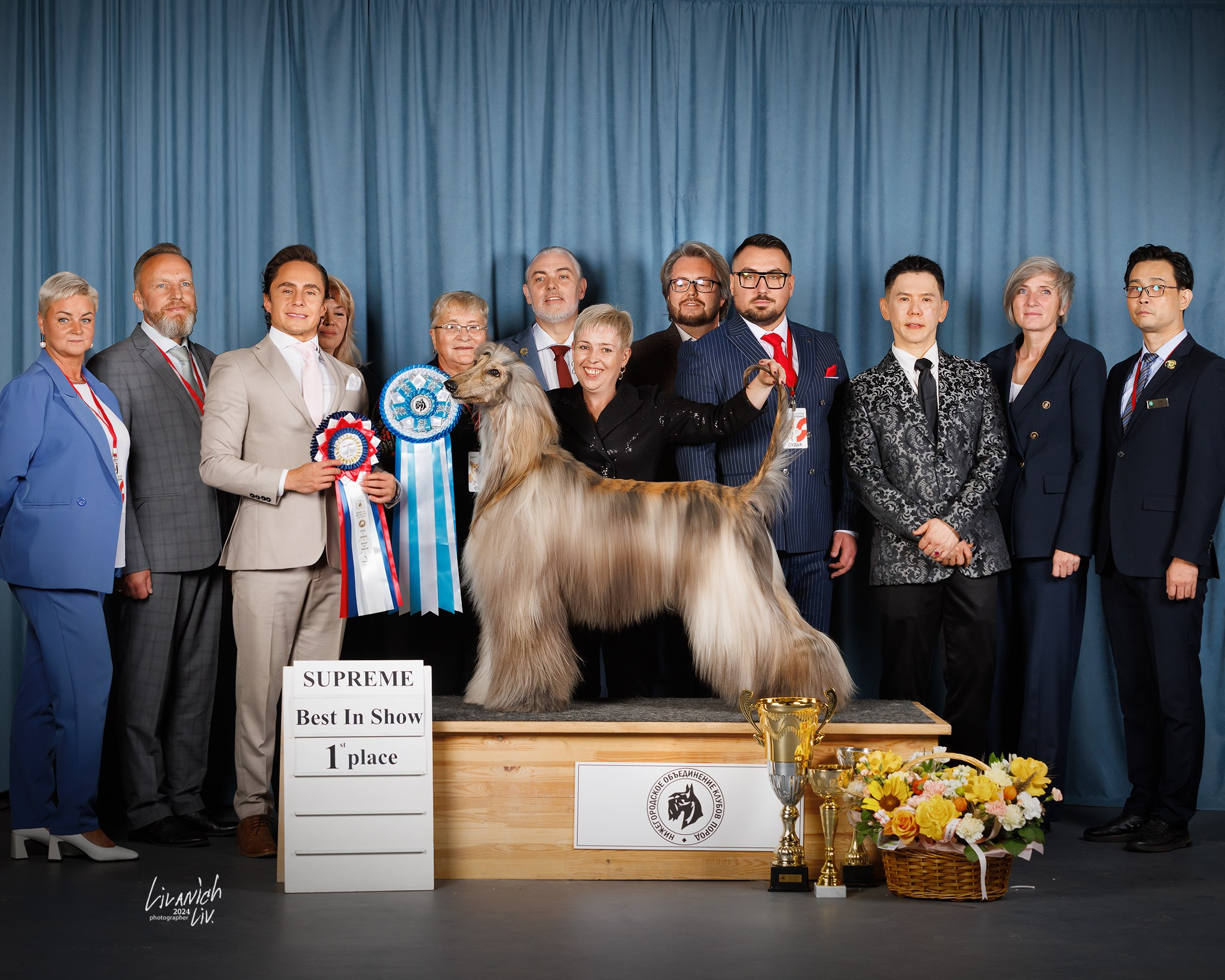 Выставки. Фотограф для вашей собаки