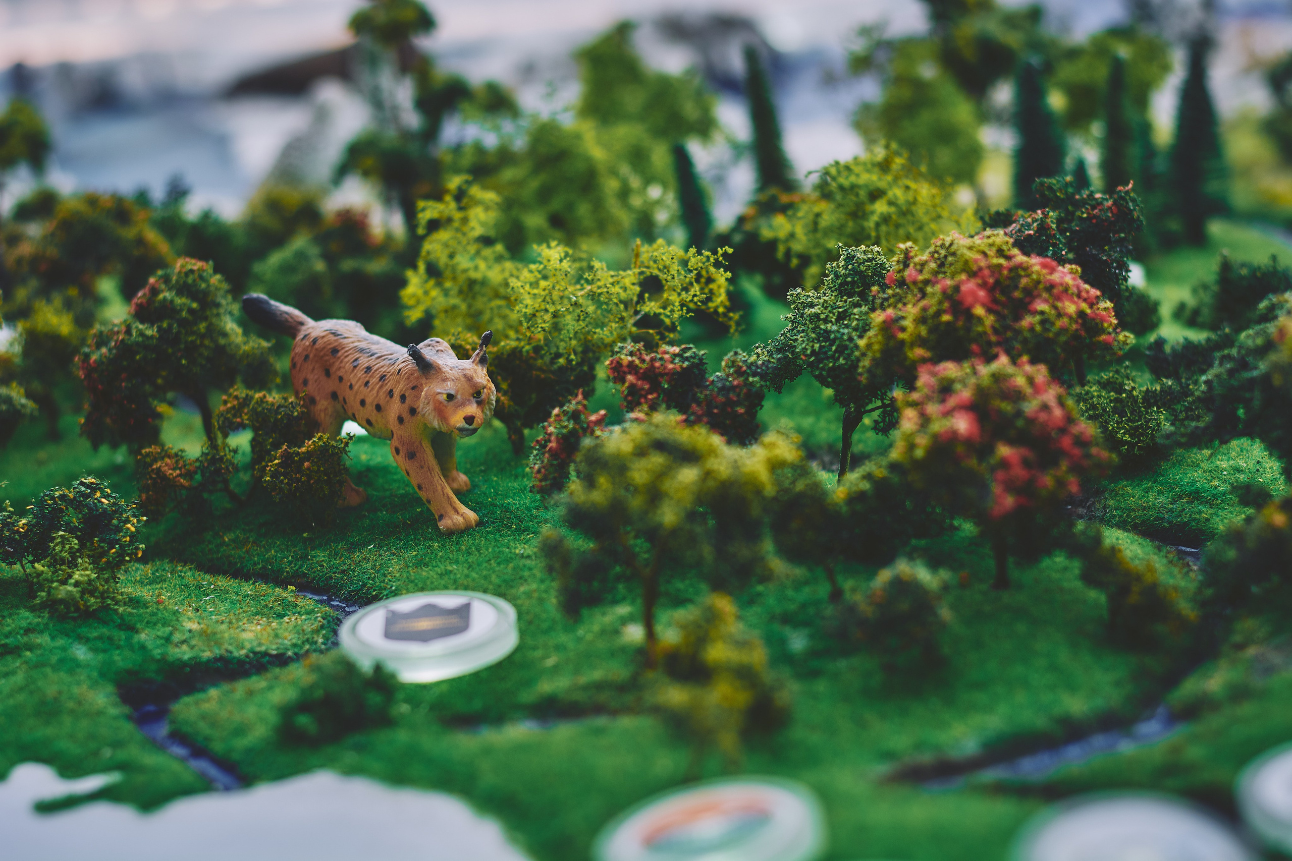 Интерьерная съемка Визит-центр Национальный парк «Кисловодский». Константин Кордонский | Интерьерный и food-фотограф в Кисловодске и КМВ