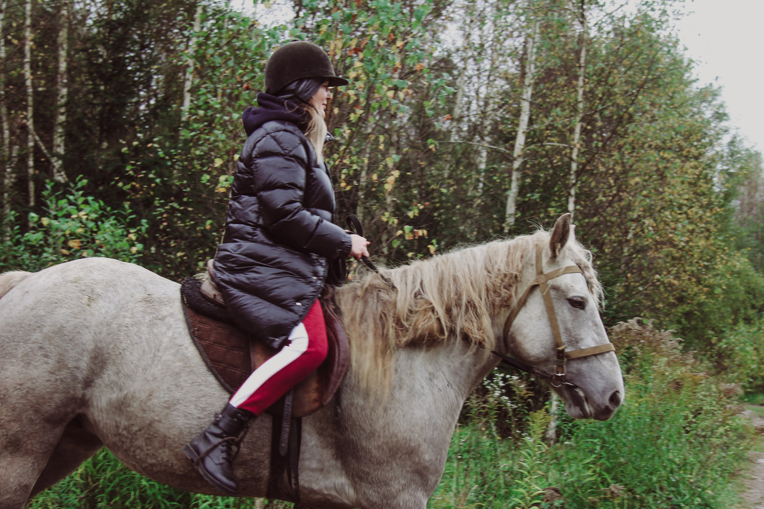 Лошадинг | 27.09.2025. Галерея Фантим