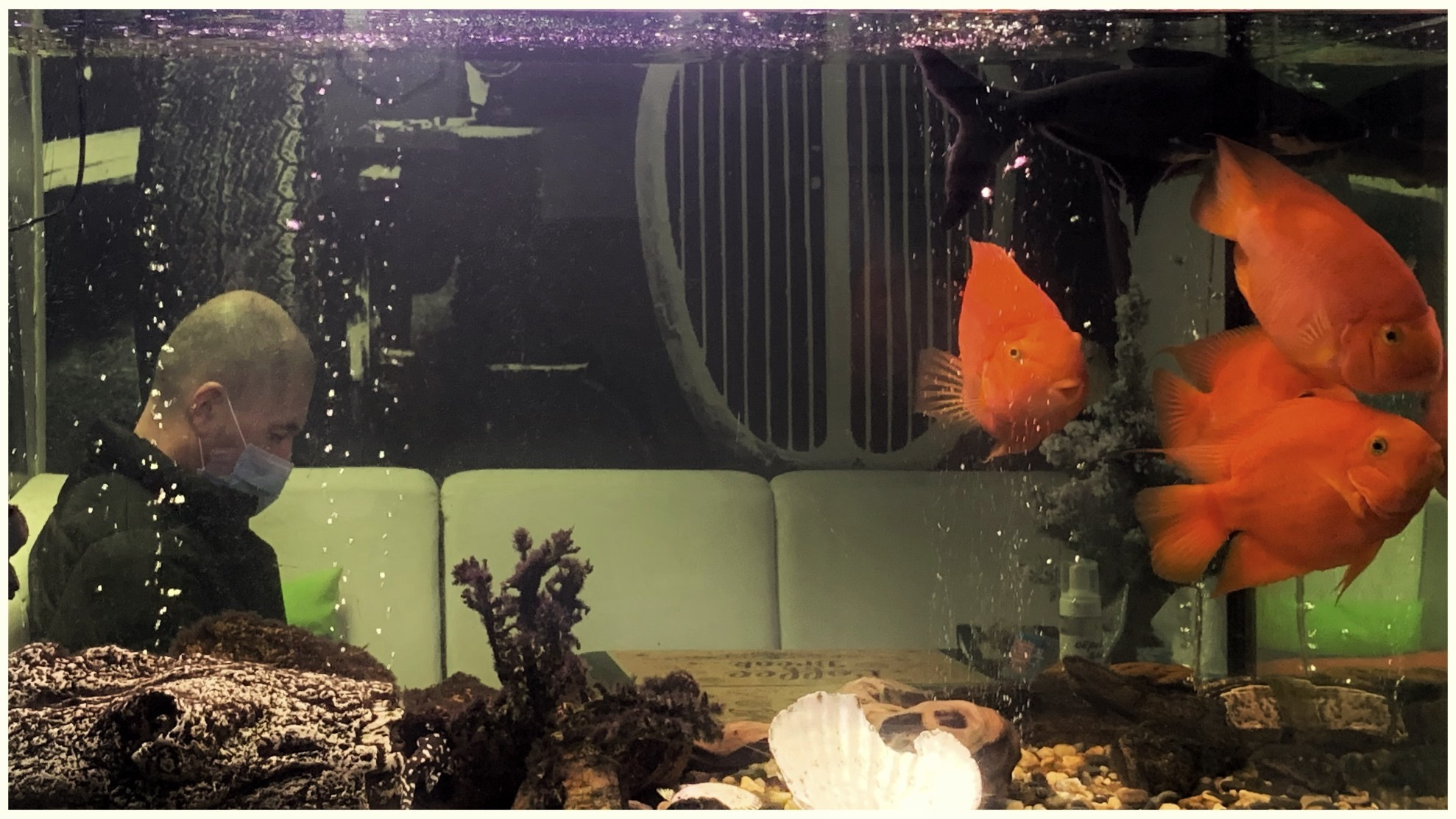 2021. Тащилин Сергей. Фотографии. Жизнь. Хобби