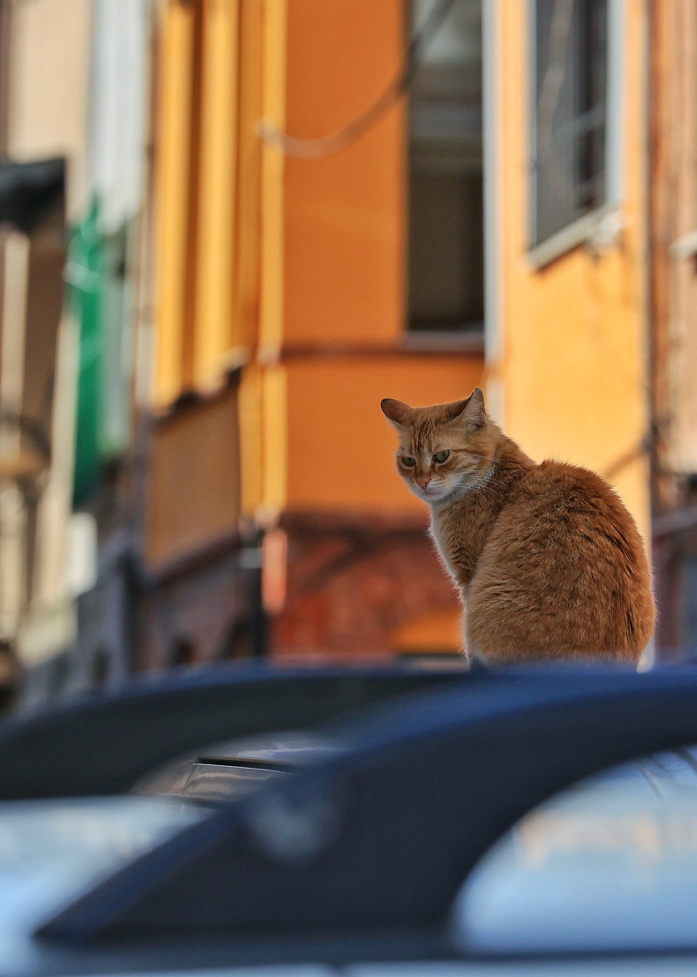 2025 год. Тащилин Сергей. Фотографии. Жизнь. Хобби