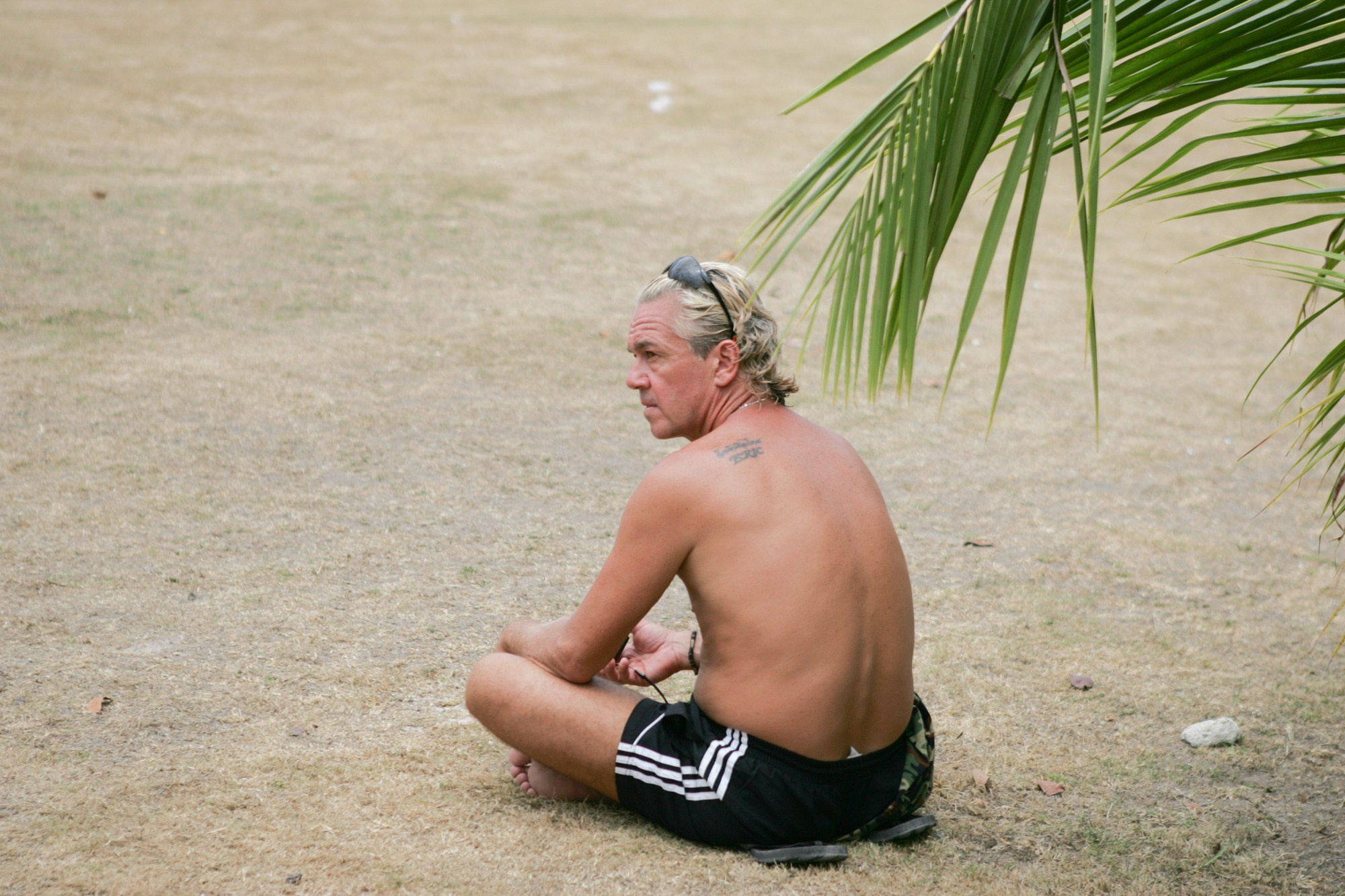 Фото и видео съемка мероприятия. Фото и видеосъемка