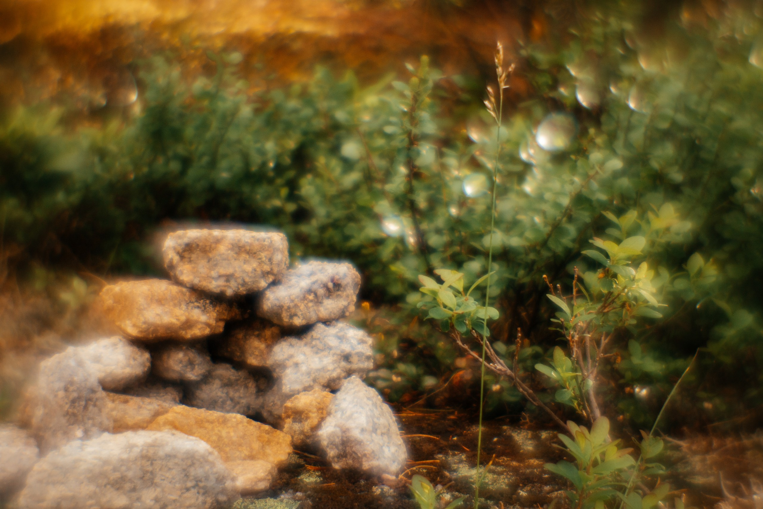 Ловец снов. Фотограф в Красноярске Оксана Корчагина