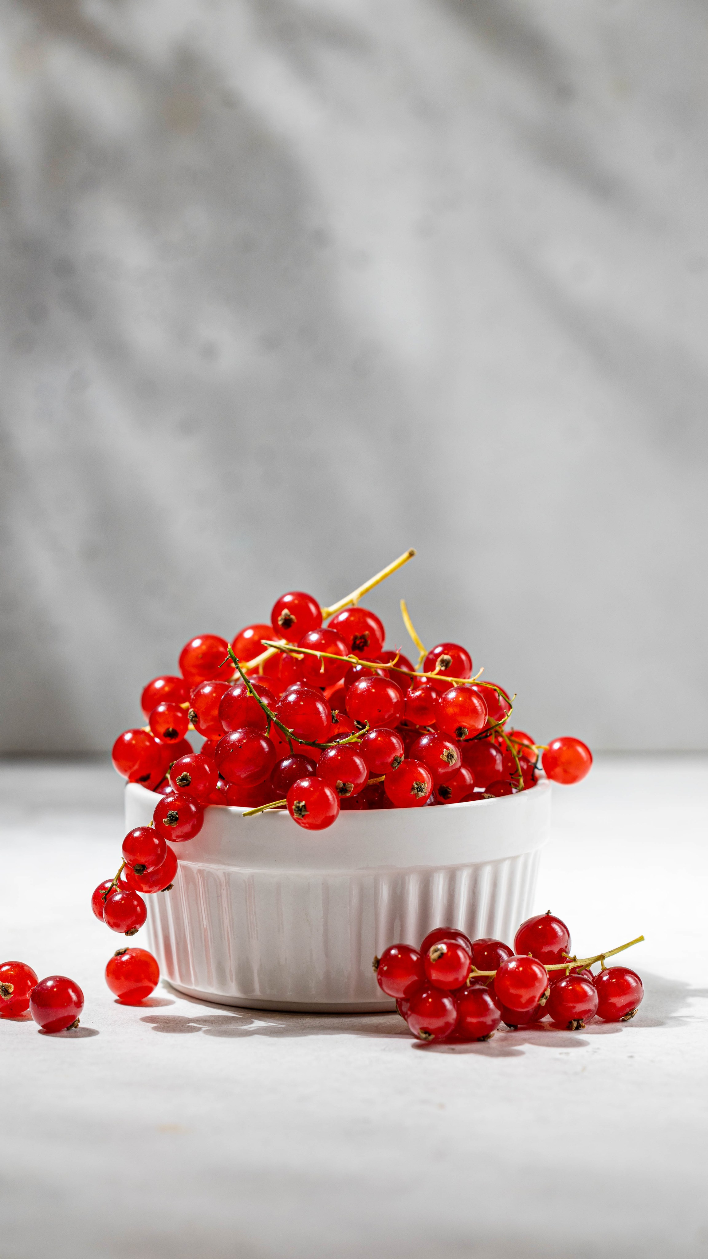 Вкус Вилл для персональной коммуникации. Фуд и предметный фотограф для вашего бизнеса