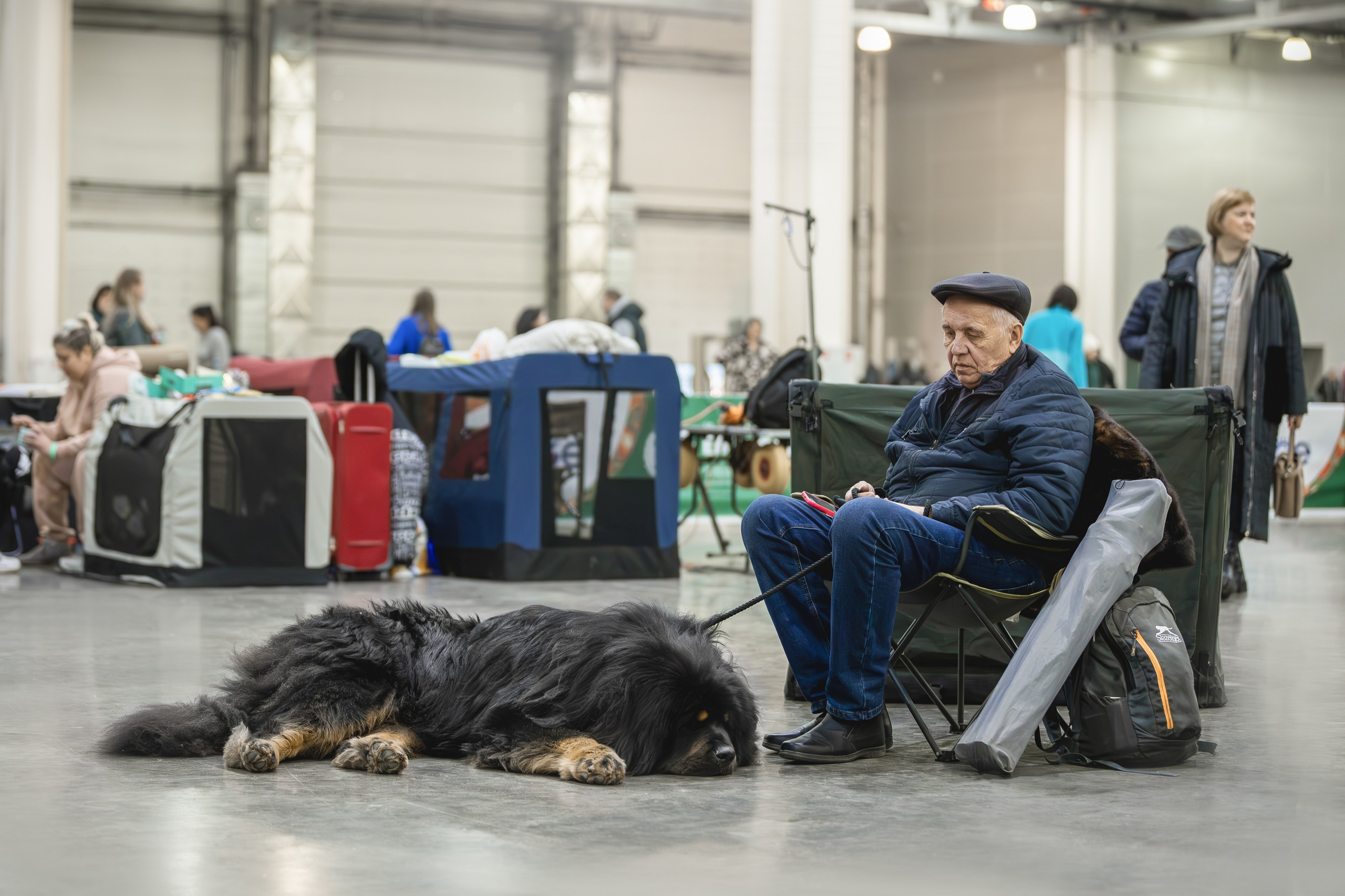 Евразия 2023. Фотограф анималист в Москве Майорова Евгения