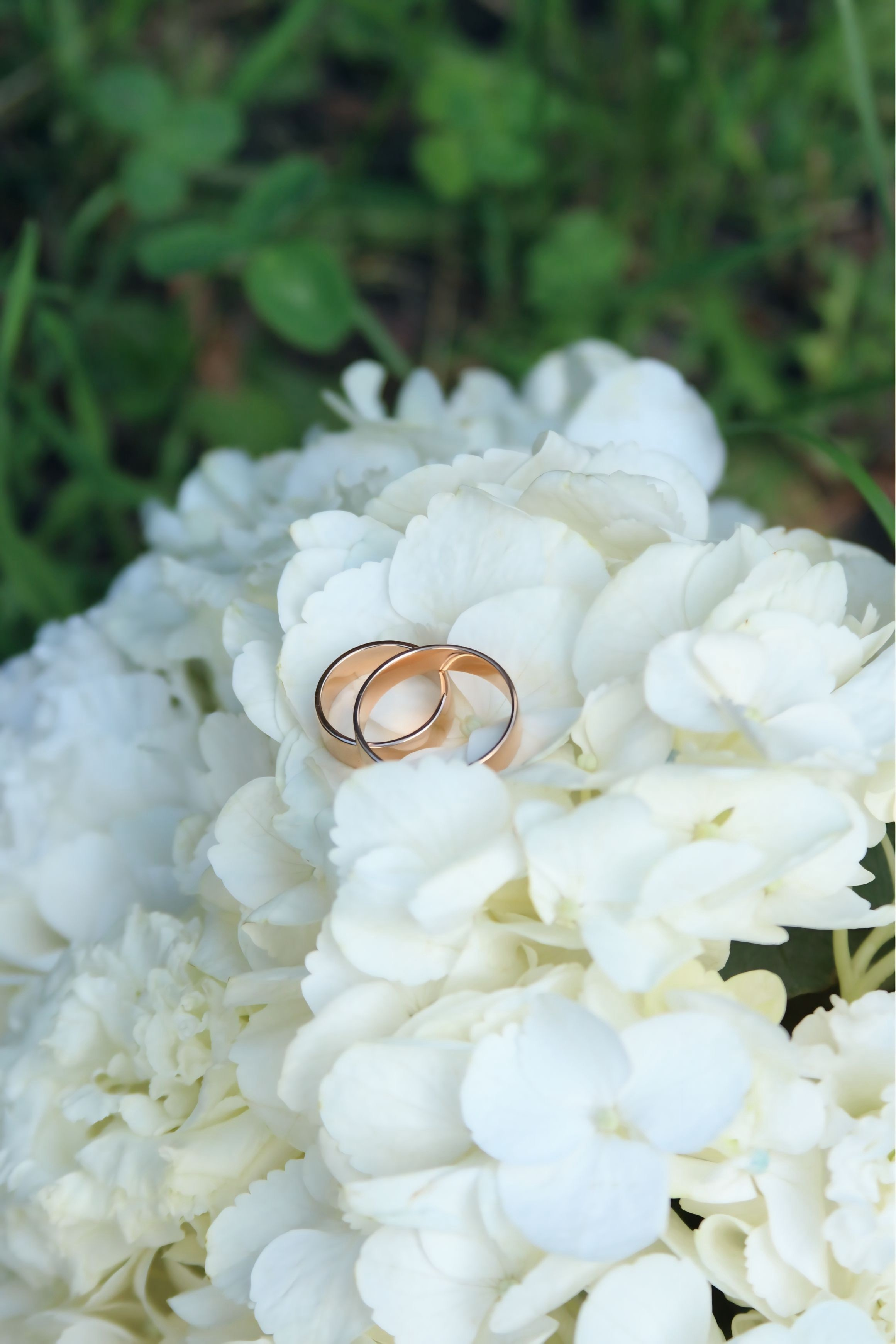 Фотограф в Сургуте — все виды съемок