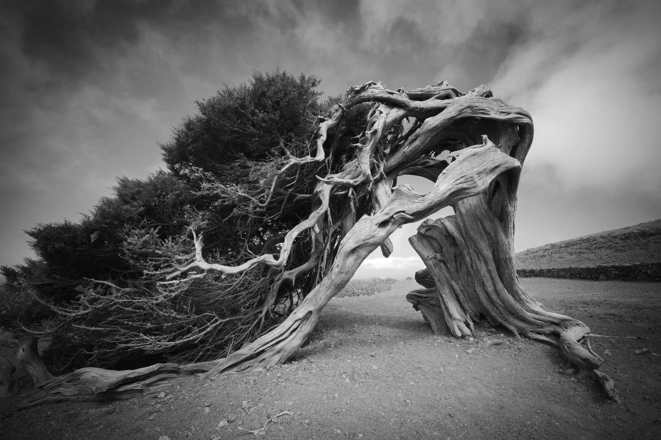 Фотографии для интерьера Вашего дома, квартиры, офиса или дачи. Авторские стильные фотокартины