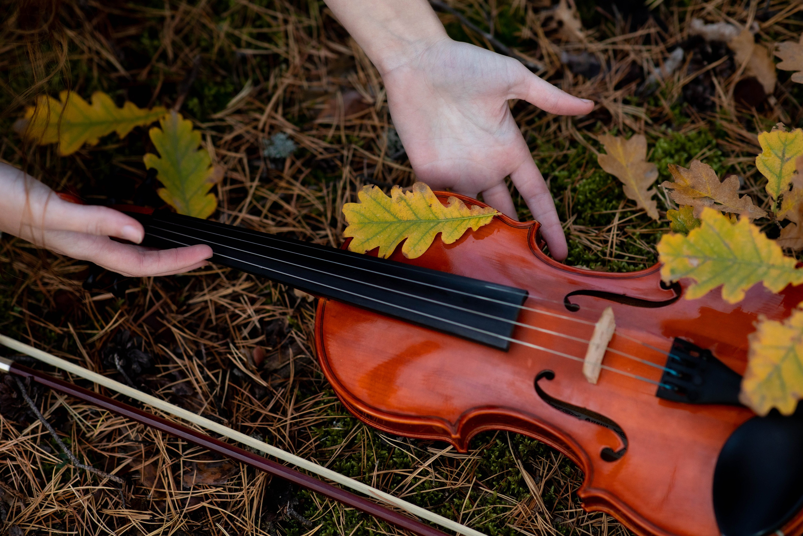 Скрипка и осень