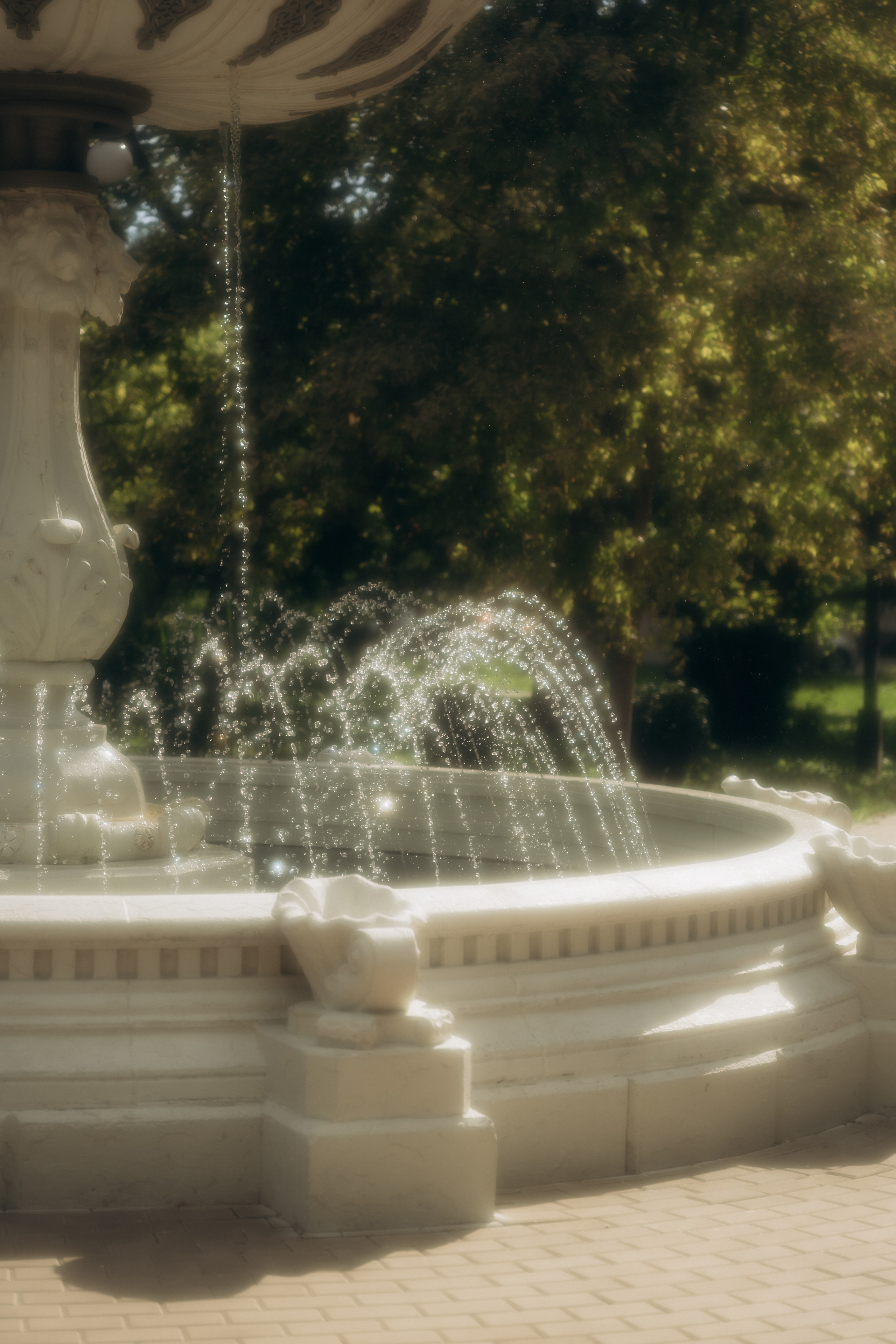 Максим и Кристина. Ирина Гонтарева|Фотограф|Белгород