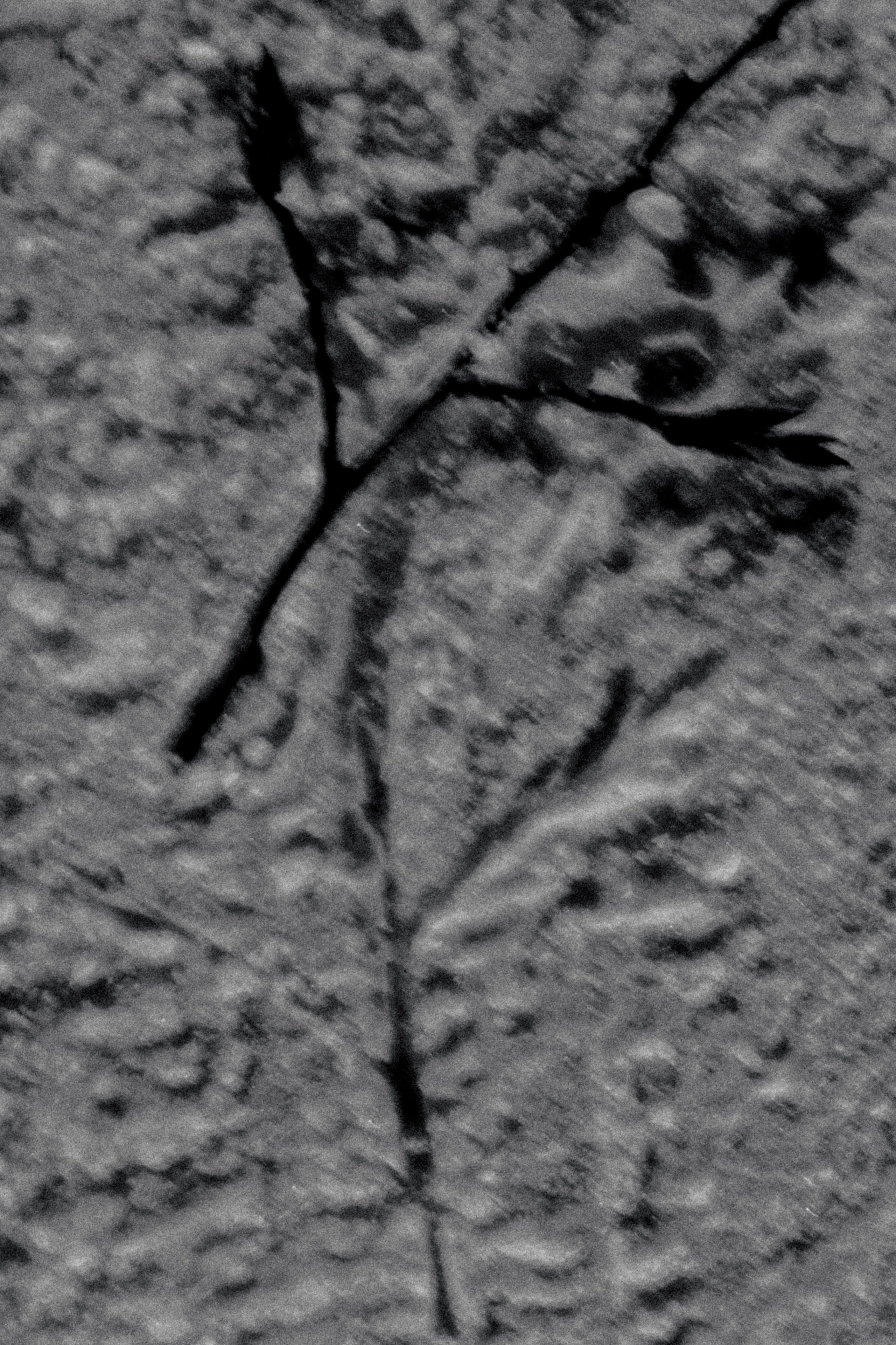 Город Н. Предание о руинах: АРХИВ ПУСТОТЫ