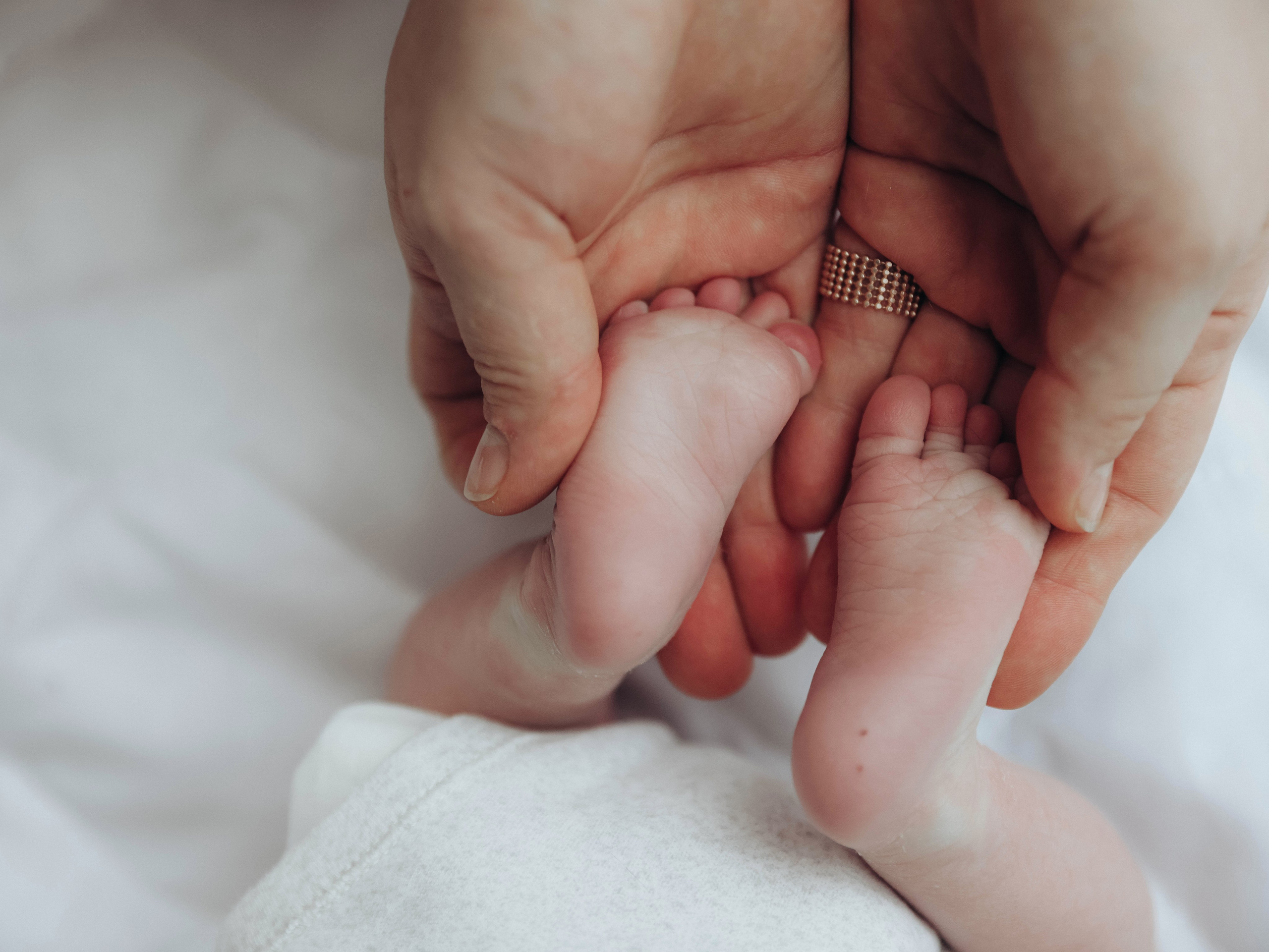 Любовь и котики. Мультифотограф Динара Ахмедзянова