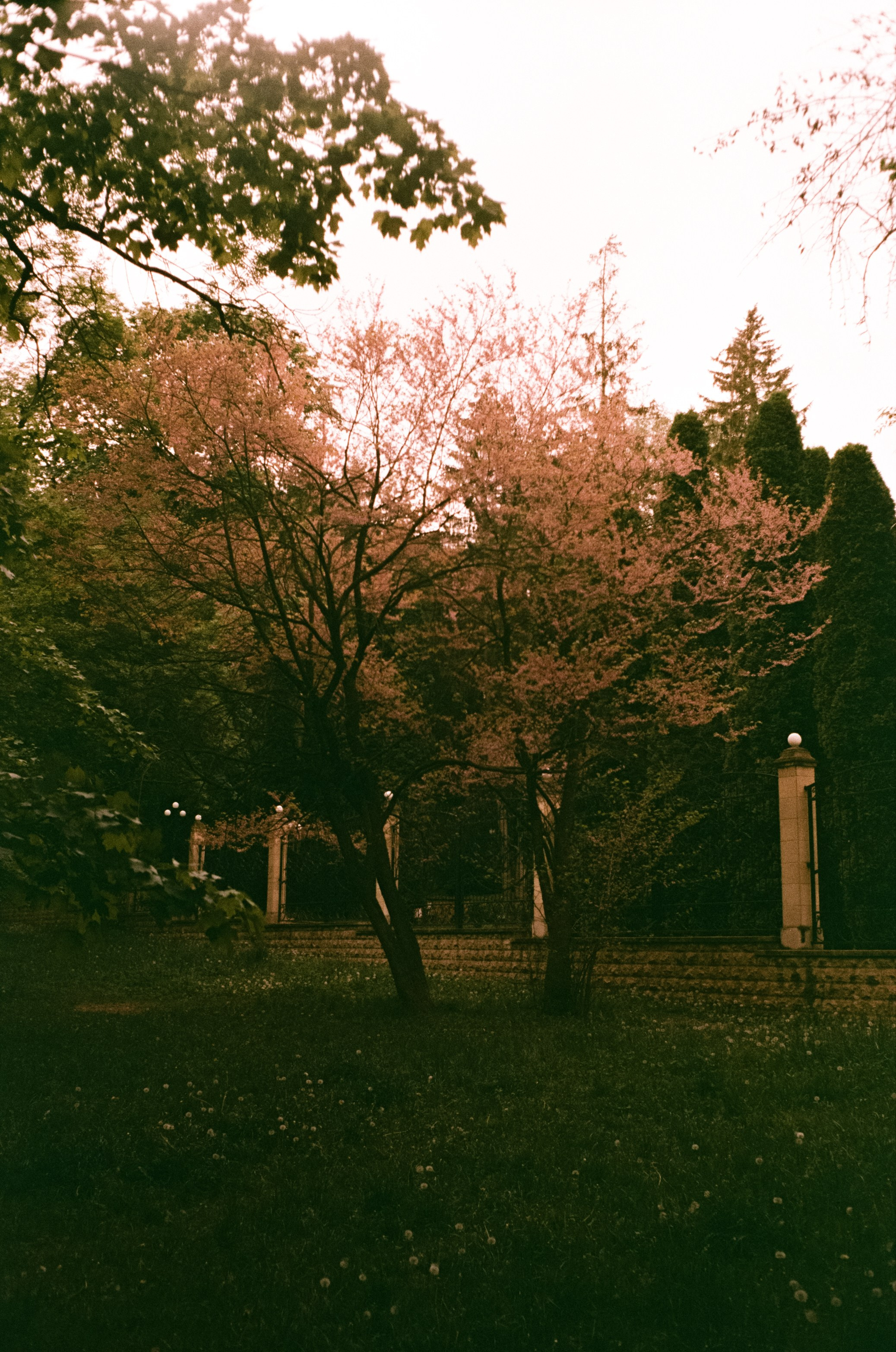 Кисловодск, Железноводск / 4 мая 2024 года / Centuria 400