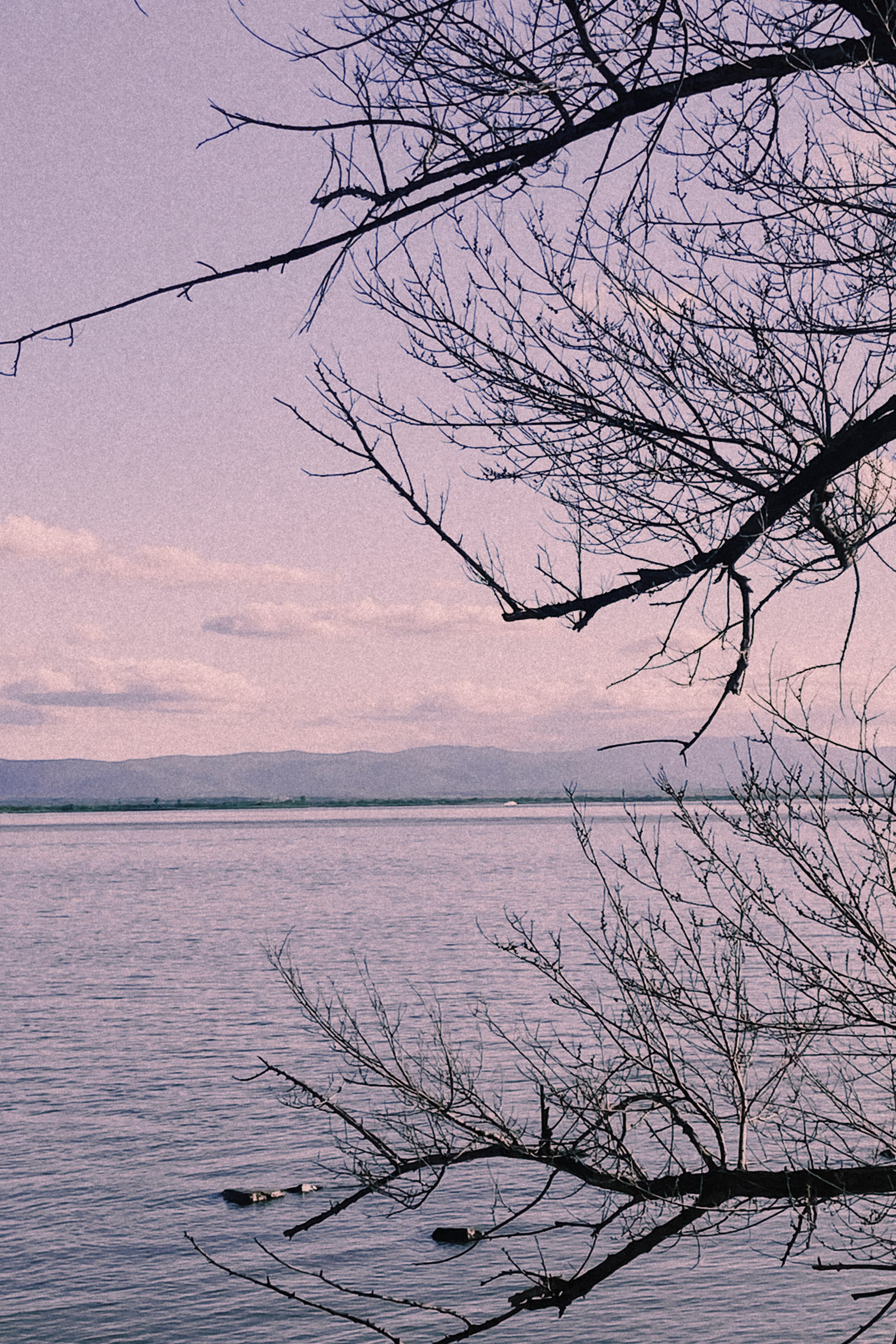 Природа. Команда фотографов Кристины Ивановой