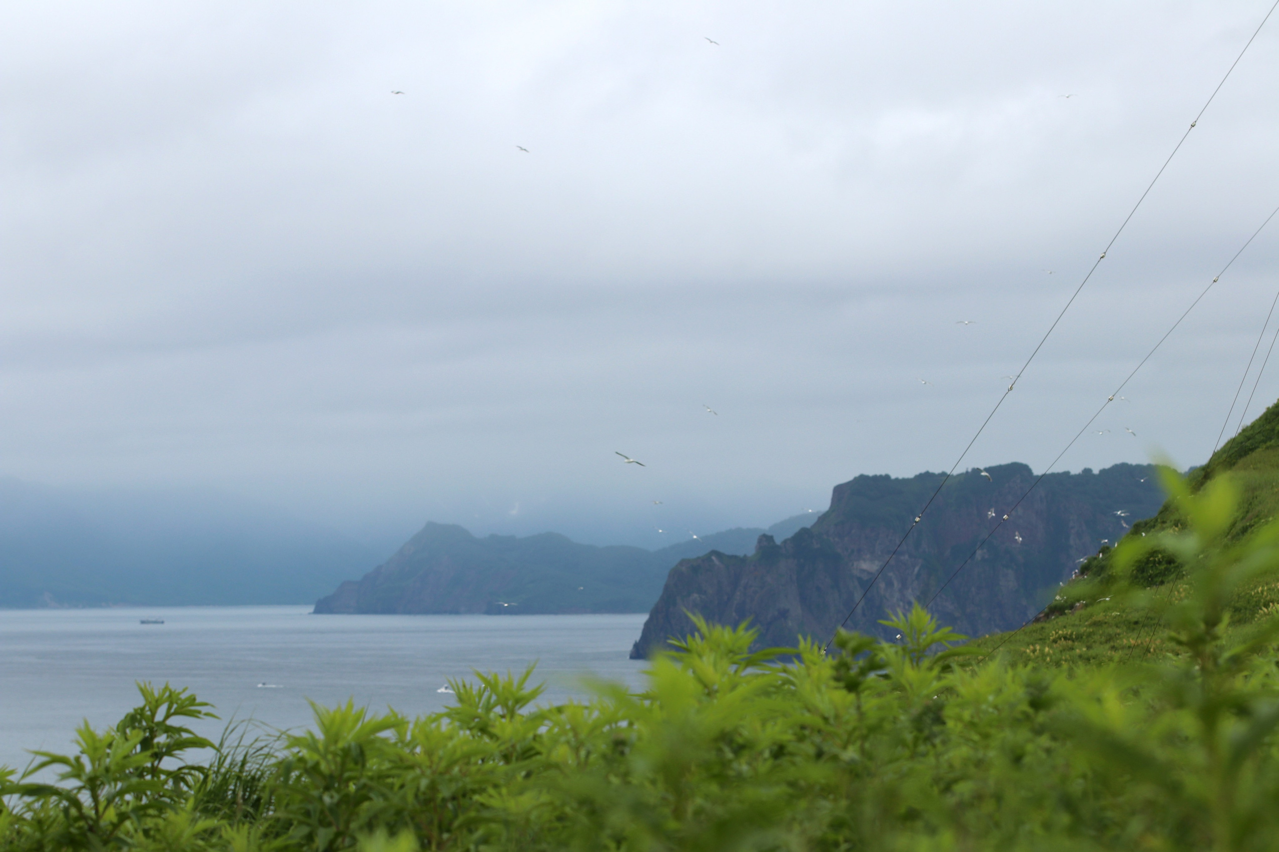 Камчатка и о. Парамушир. Июль 2024. Путешественник-фотограф из Санкт-Петербурга Татьяна Свистулина