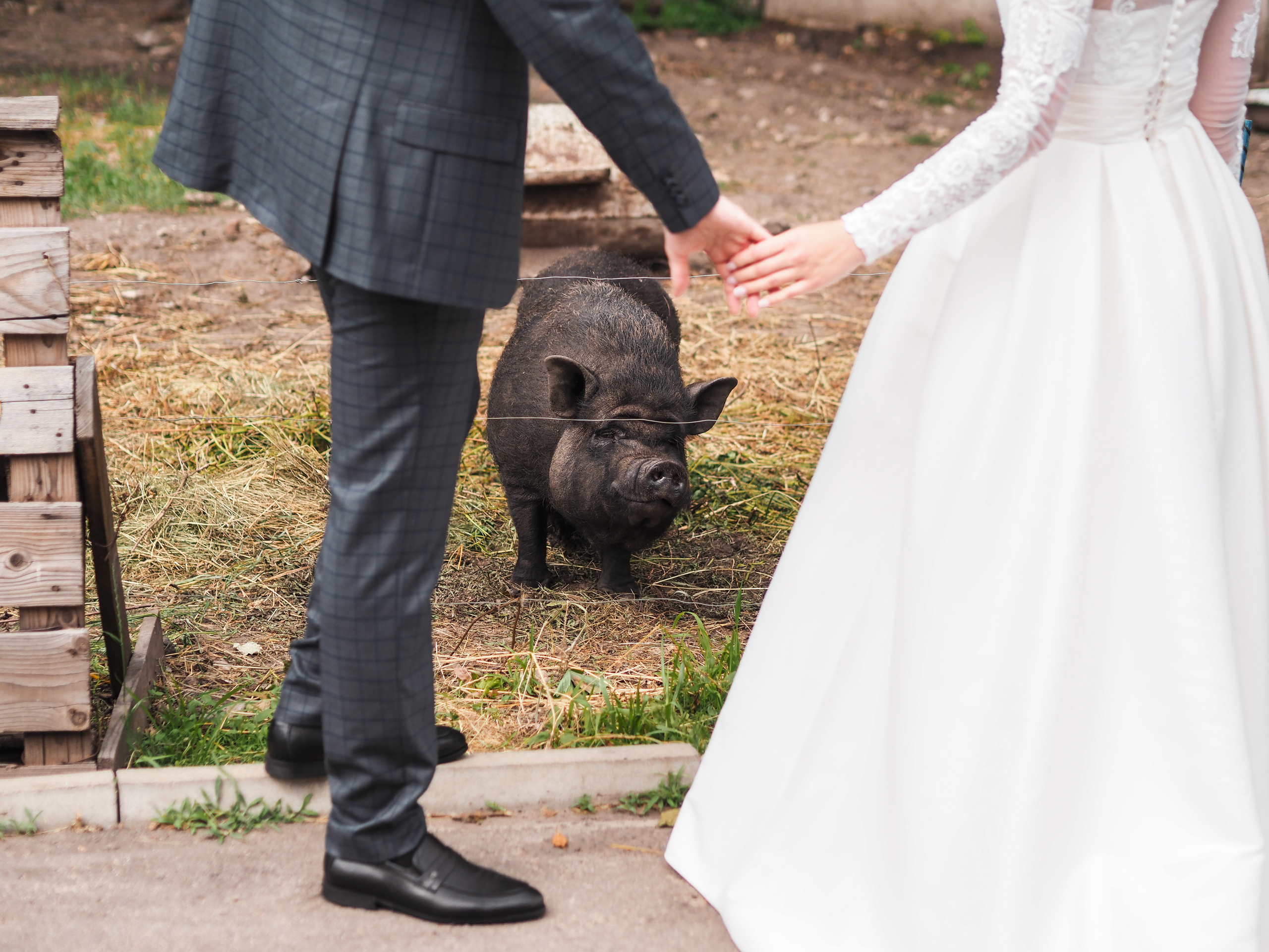 Wedding. Предметный и Фуд-фотограф в Воронеже Никита Кочергин